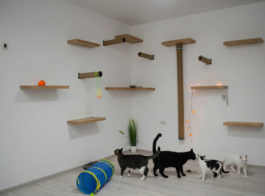 Arbre à chat ou étagères murales pour chat