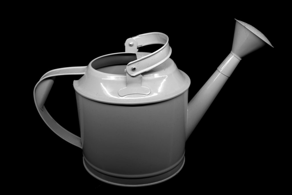 Arrosage enterré ou arrosage de surface