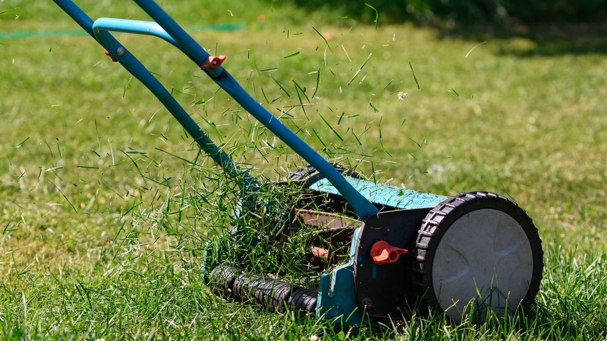 Comparatif des tondeuses pour petits jardins