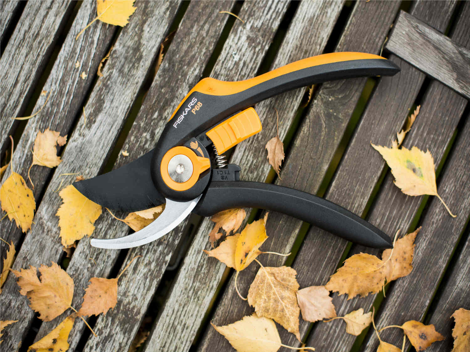 Les outils de coupe indispensables pour tailler vos arbustes
