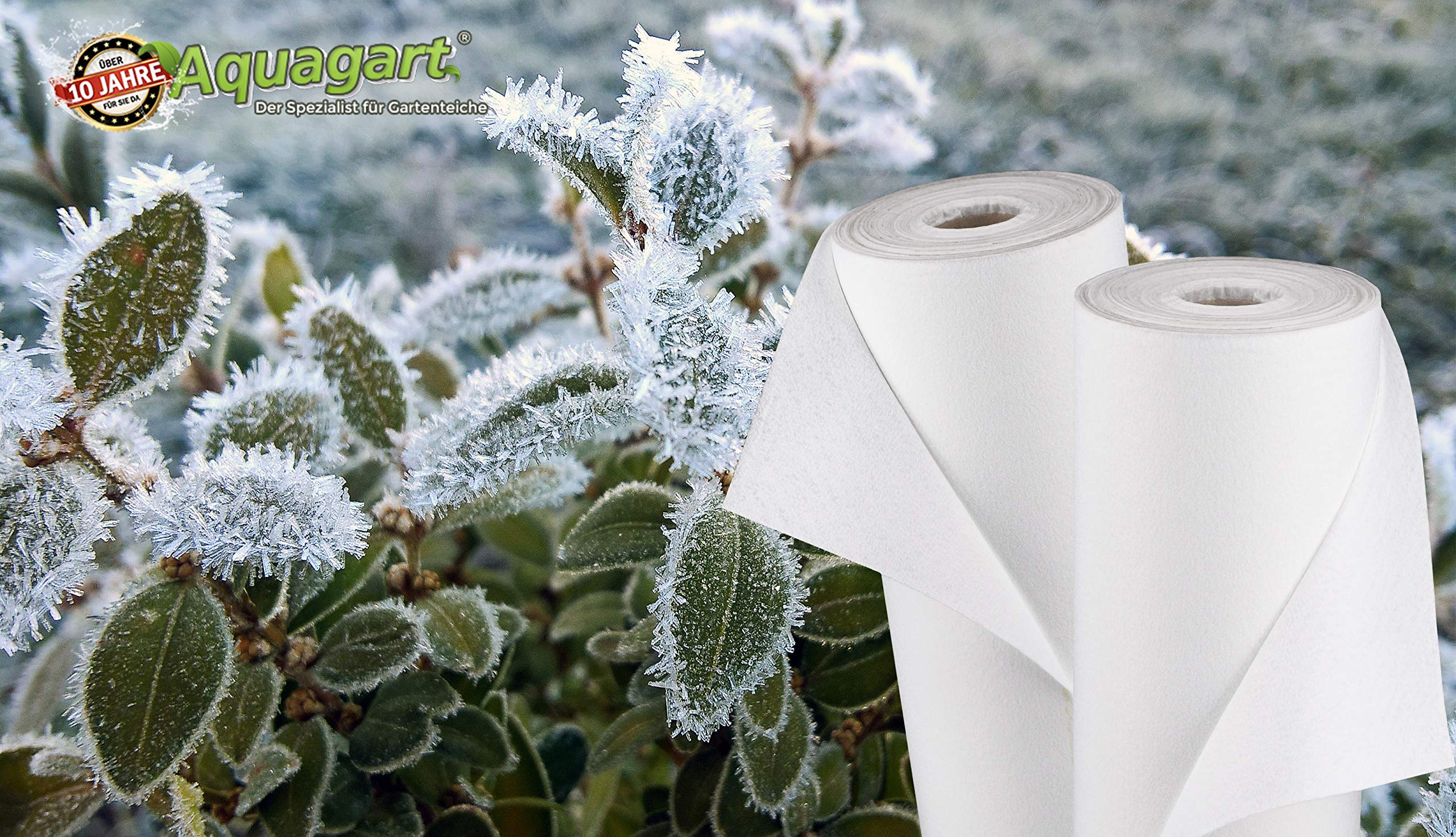 Meilleures couvertures hivernales pour plantes fragiles