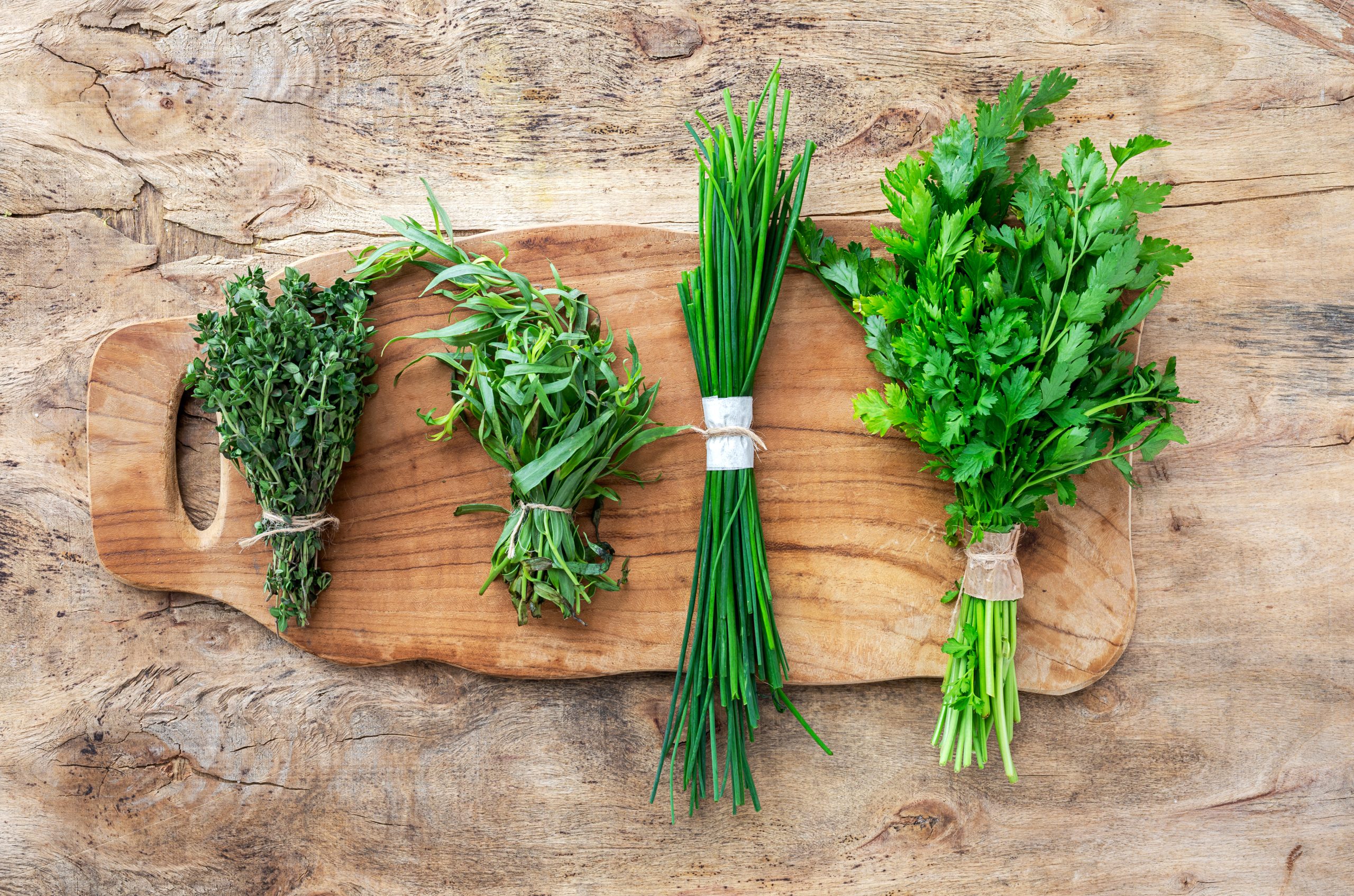 Plantes aromatiques ou légumes potager
