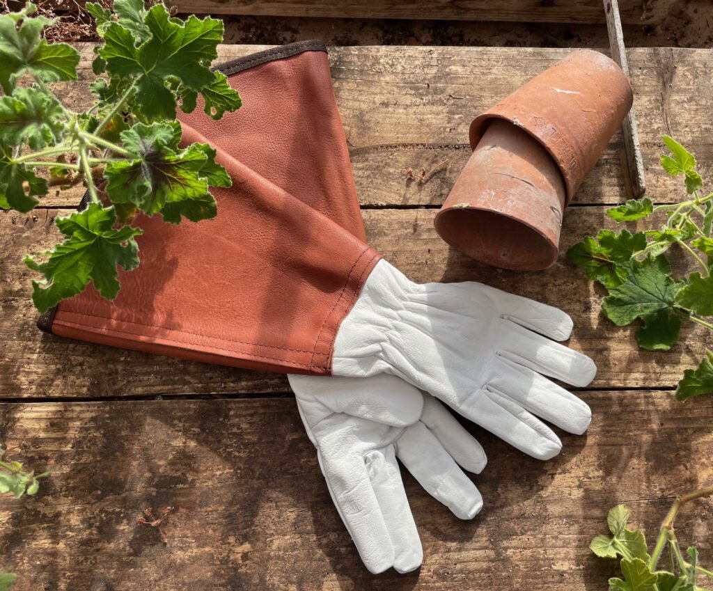 Sélection de gants résistants contre les ronces