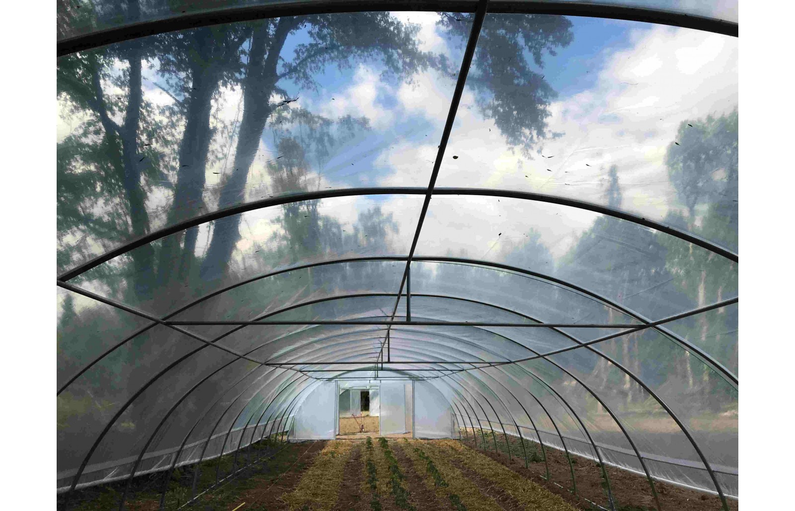 Serre tunnel ou serre en verre