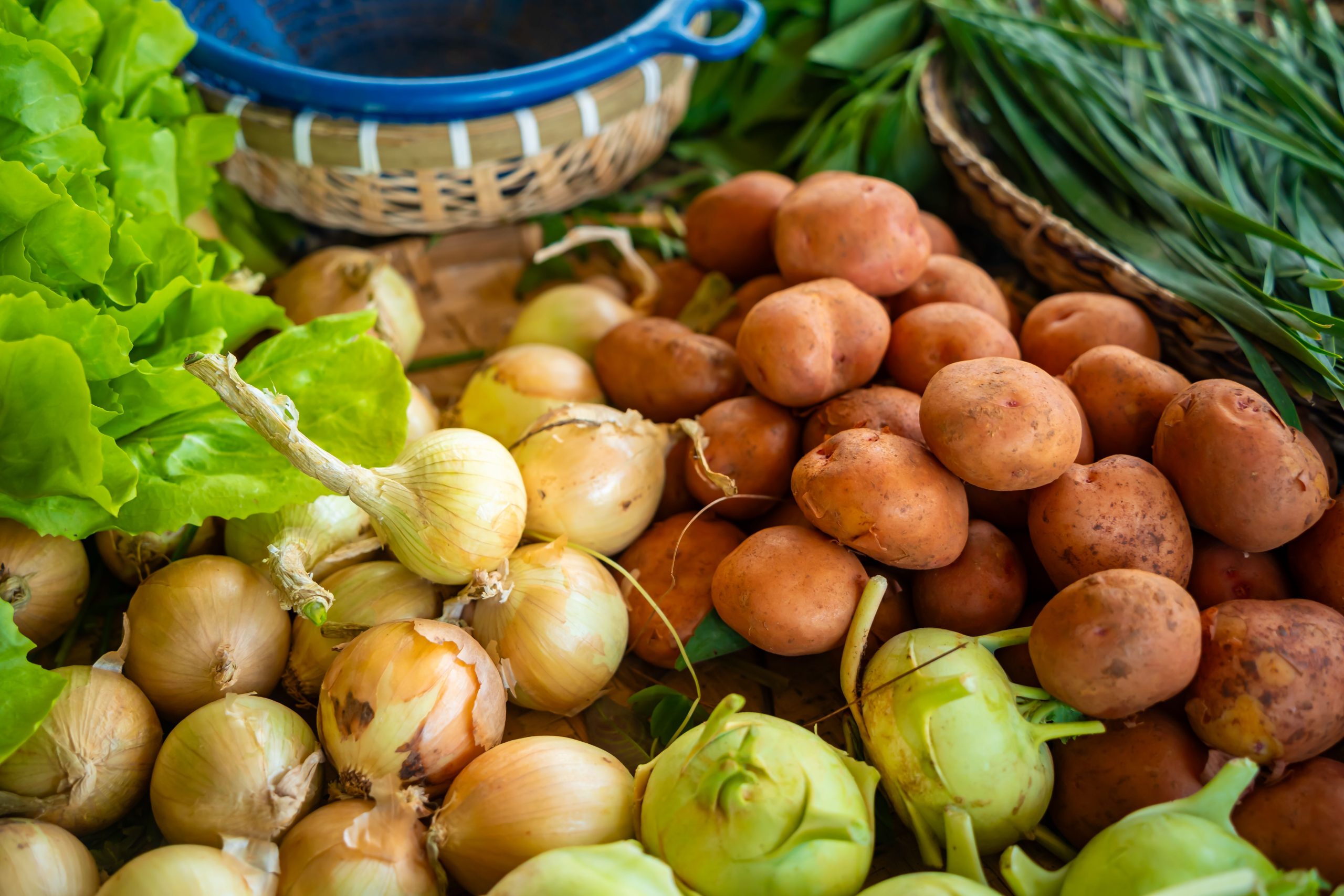 Alimentation végétale ou omnivore