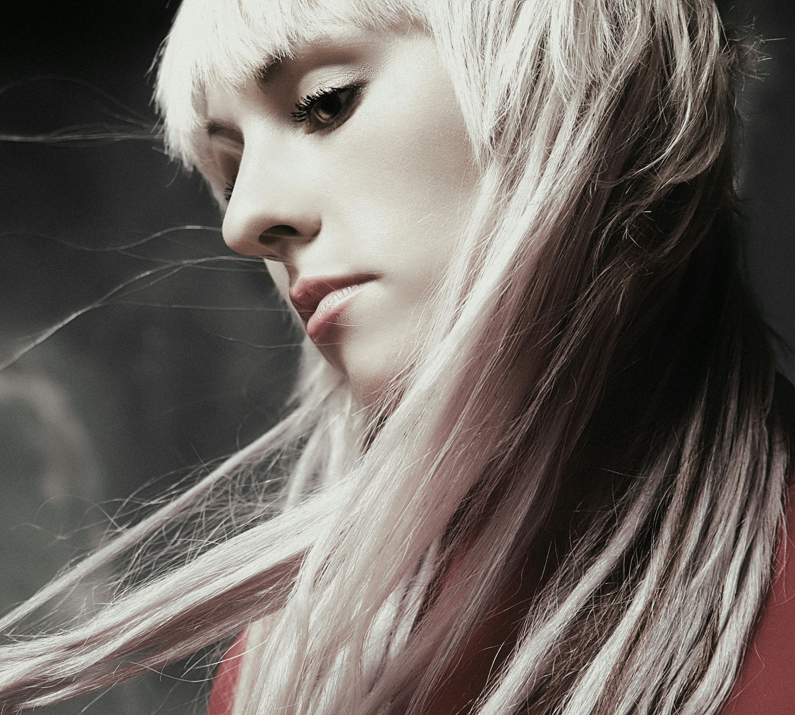 Blond polaire ou blond platine