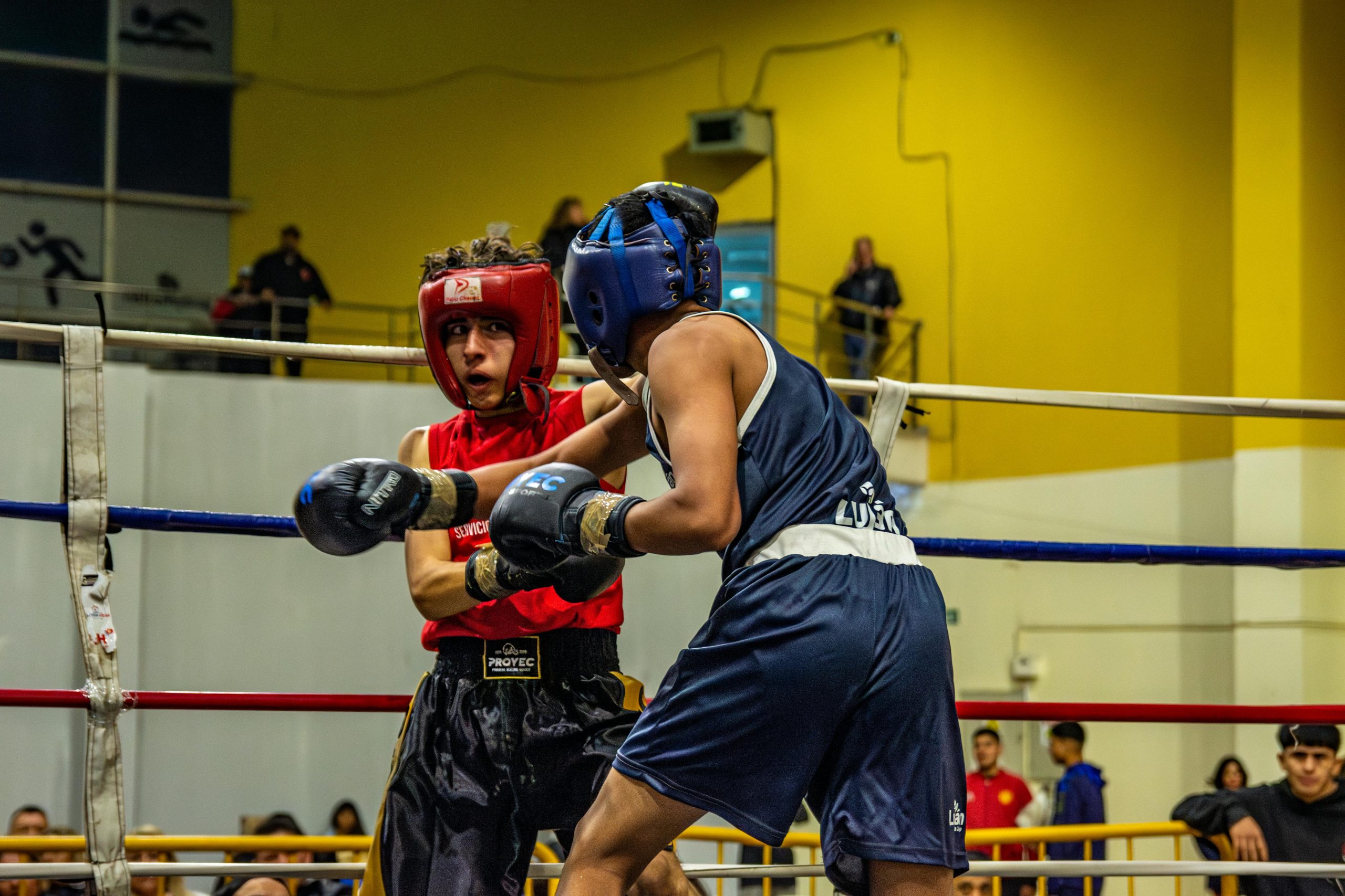 Boxe française ou boxe anglaise
