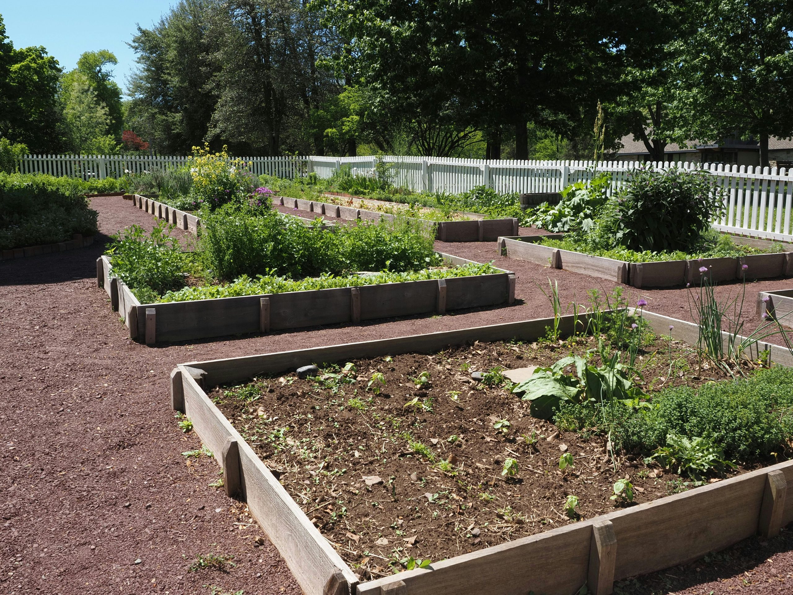 Carré potager ou jardinière surélevée