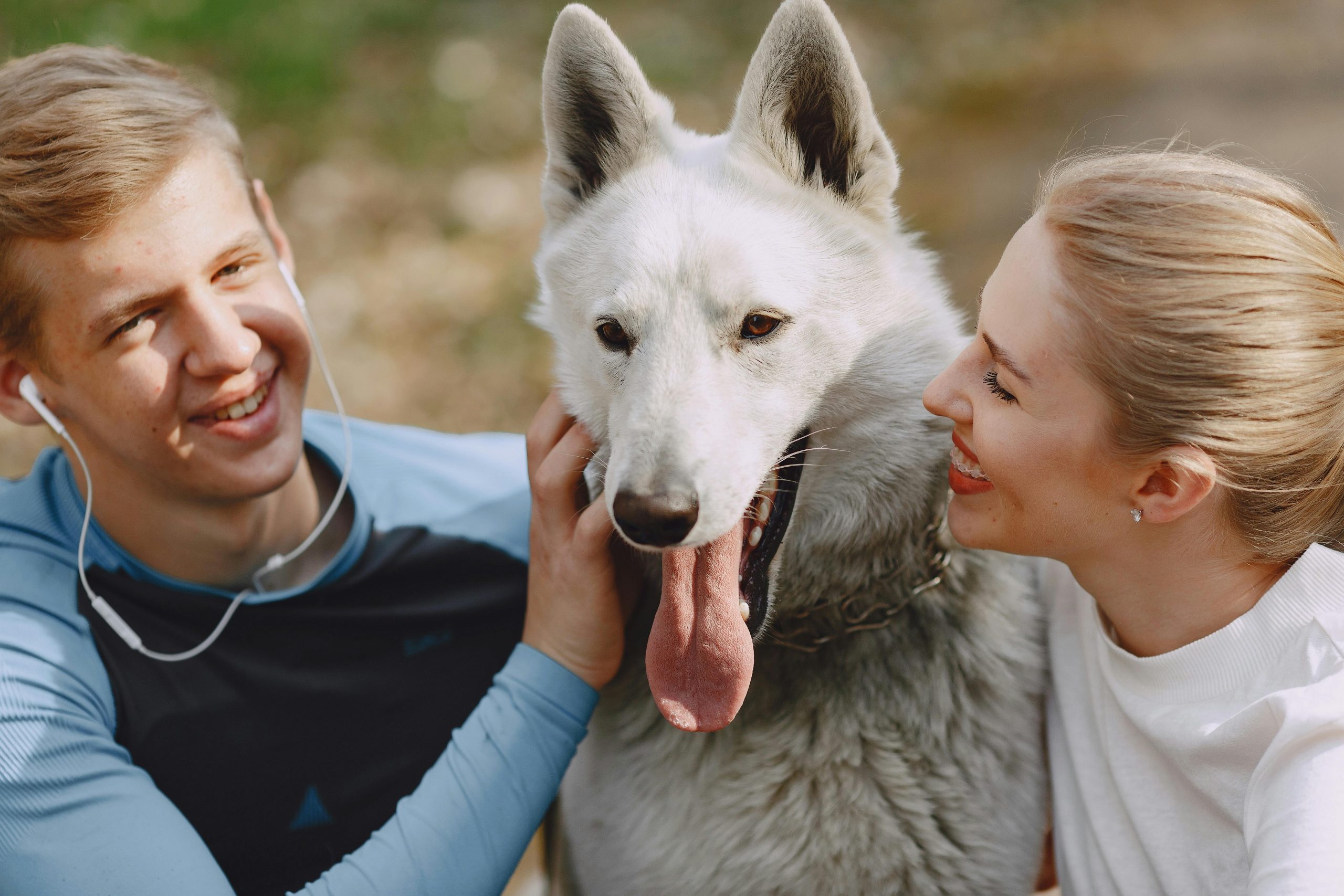 Chien mâle ou chien femelle
