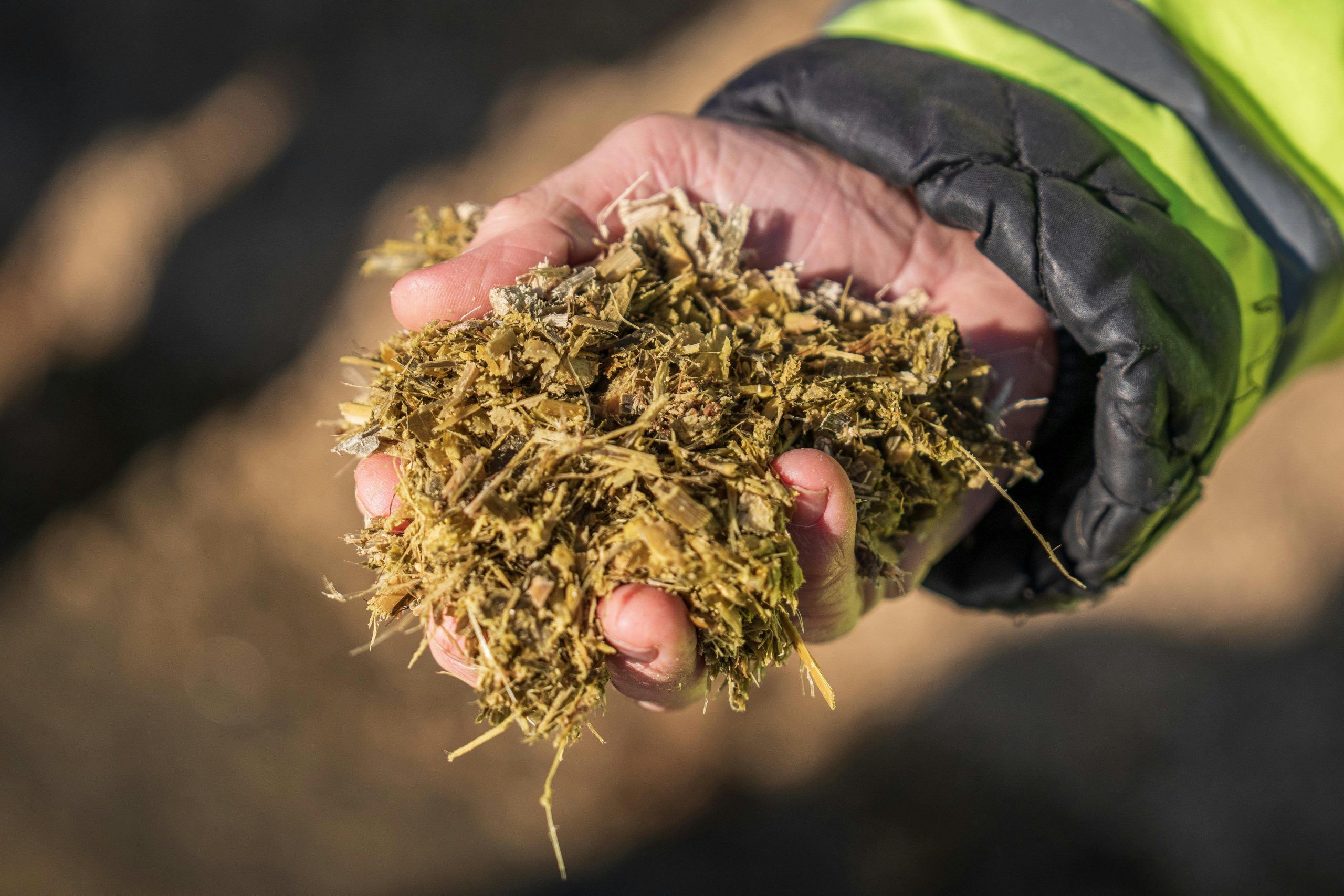 Comparatif engrais organique et compost