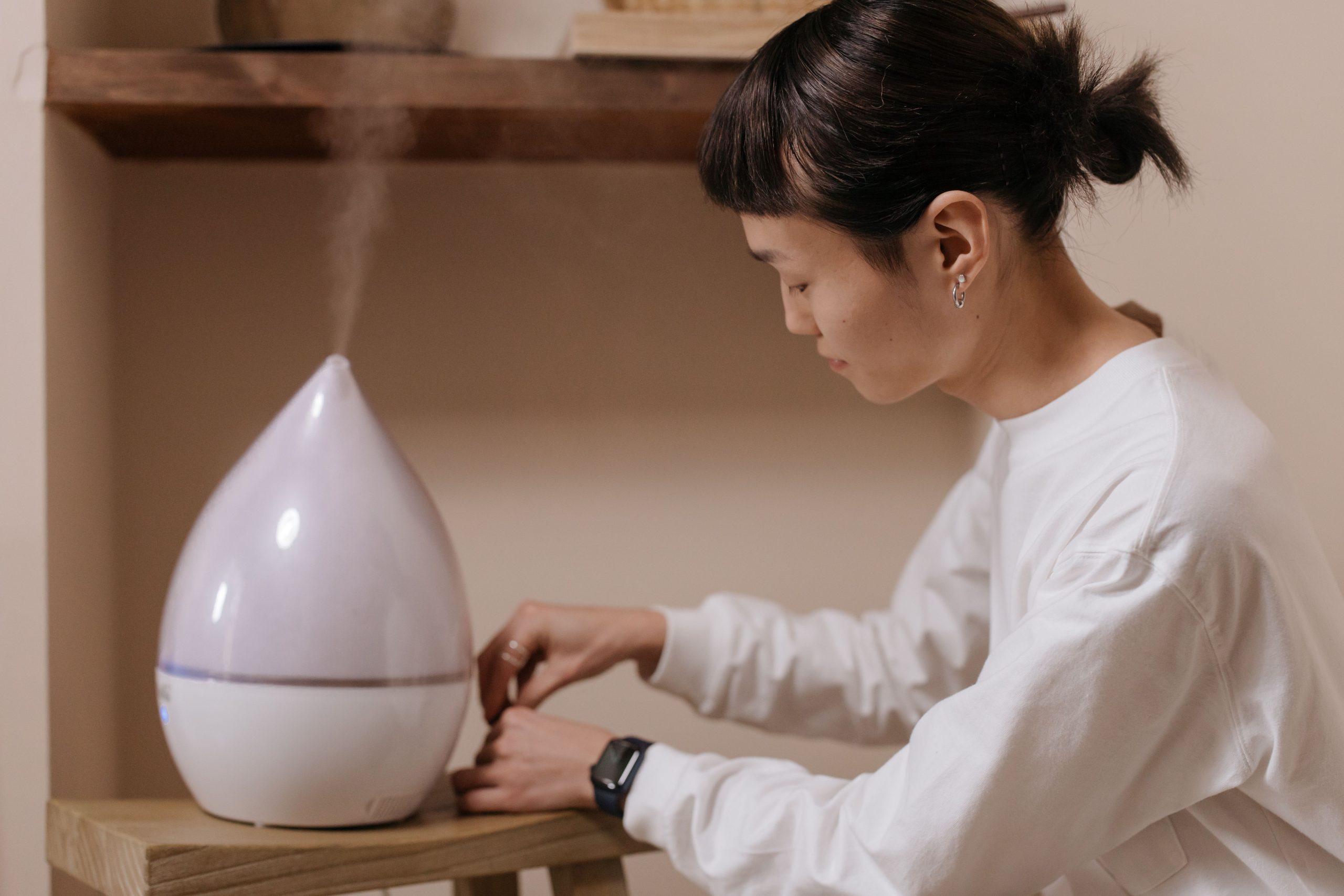 Comparatif humidificateur et purificateur d'air