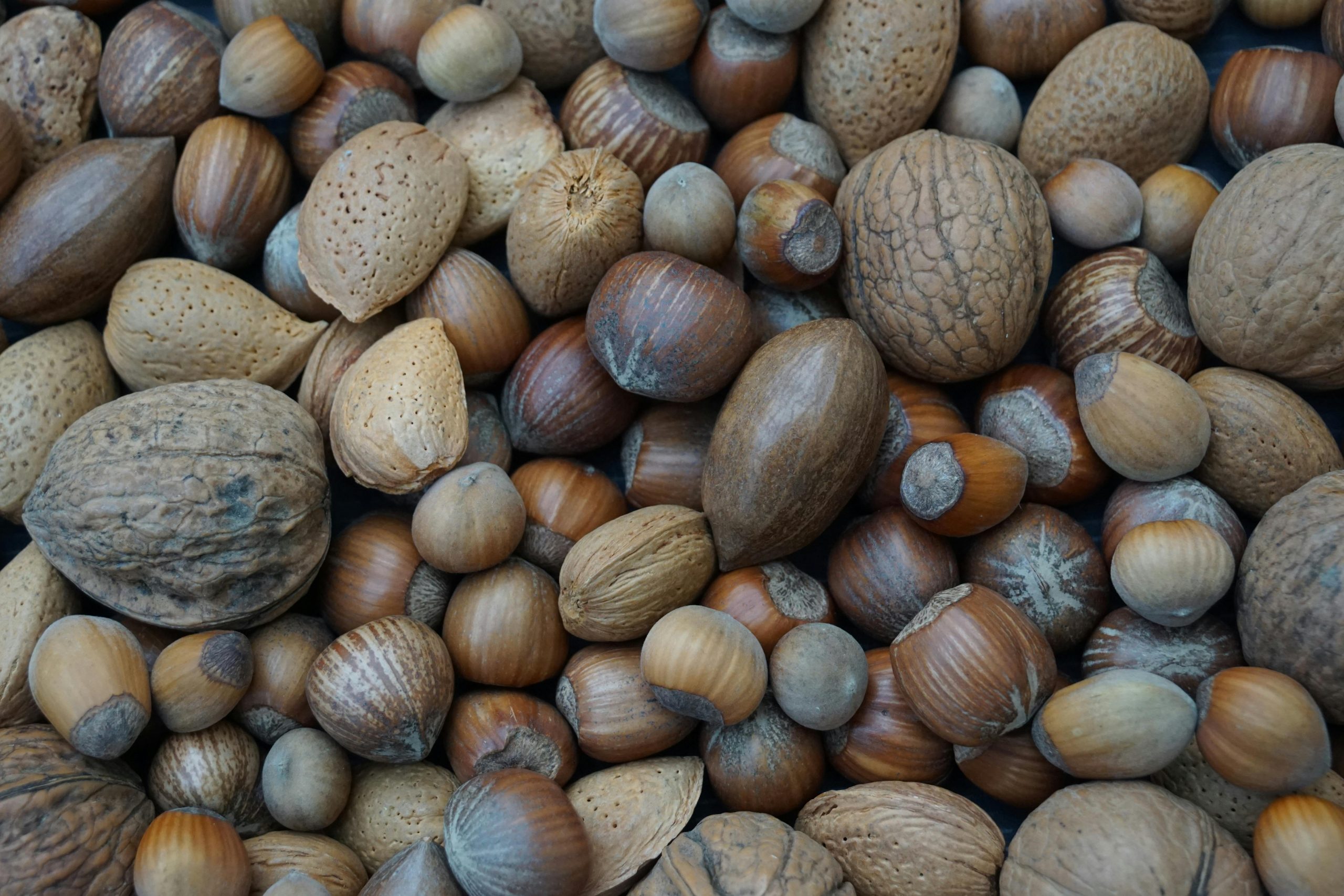 Comparatif noisettes et amandes
