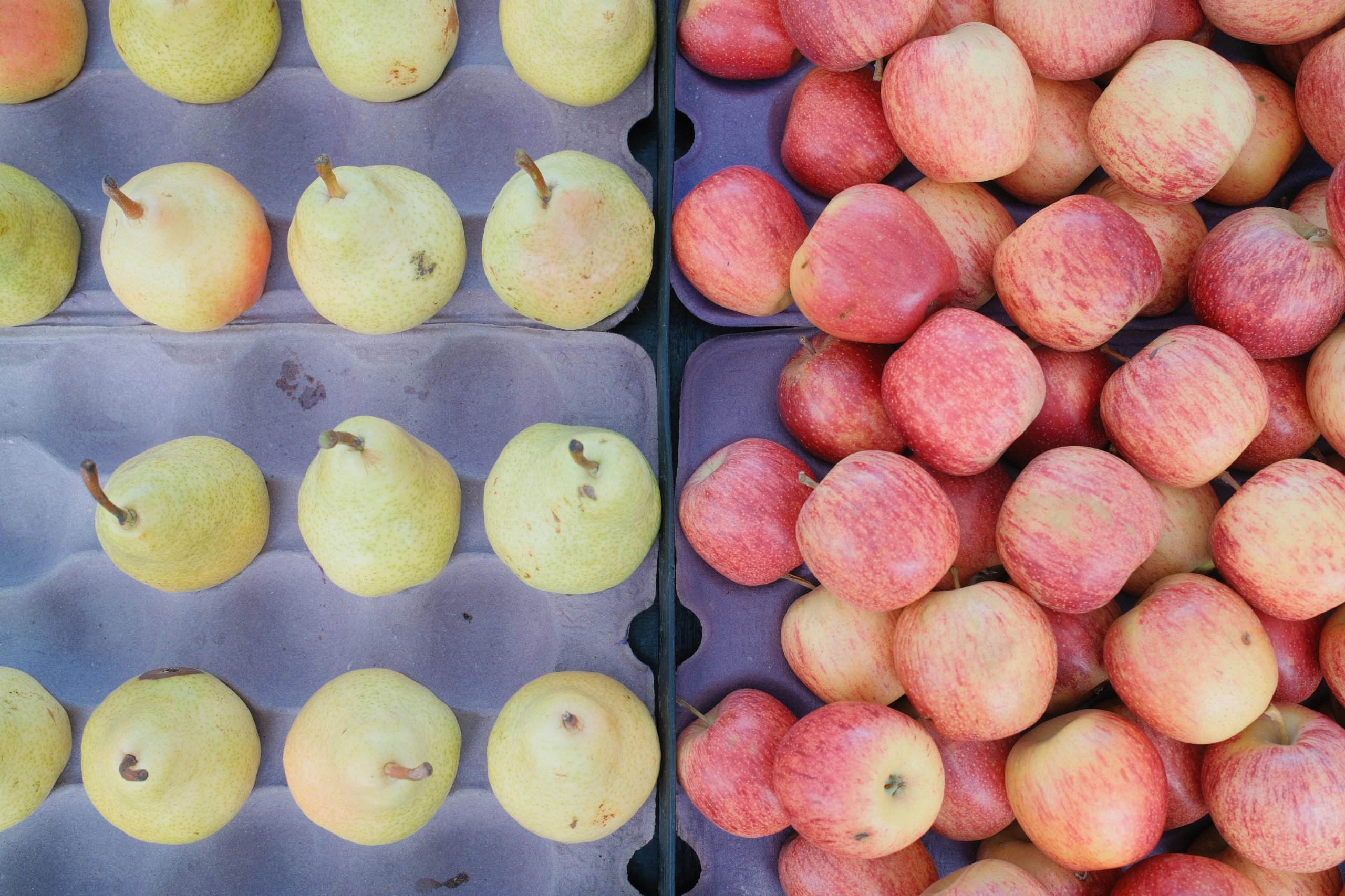 Comparatif pomme et poire