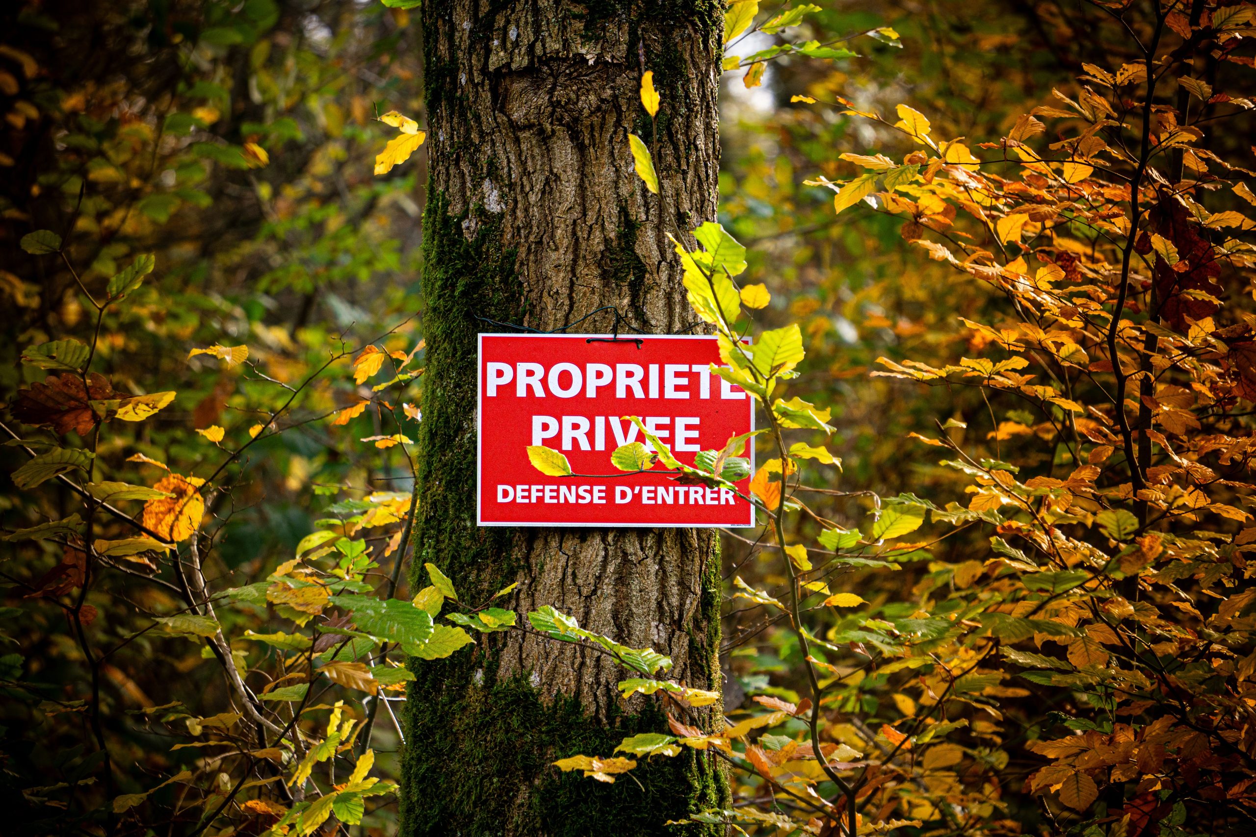 Conciergerie d’entreprise ou avantages en nature
