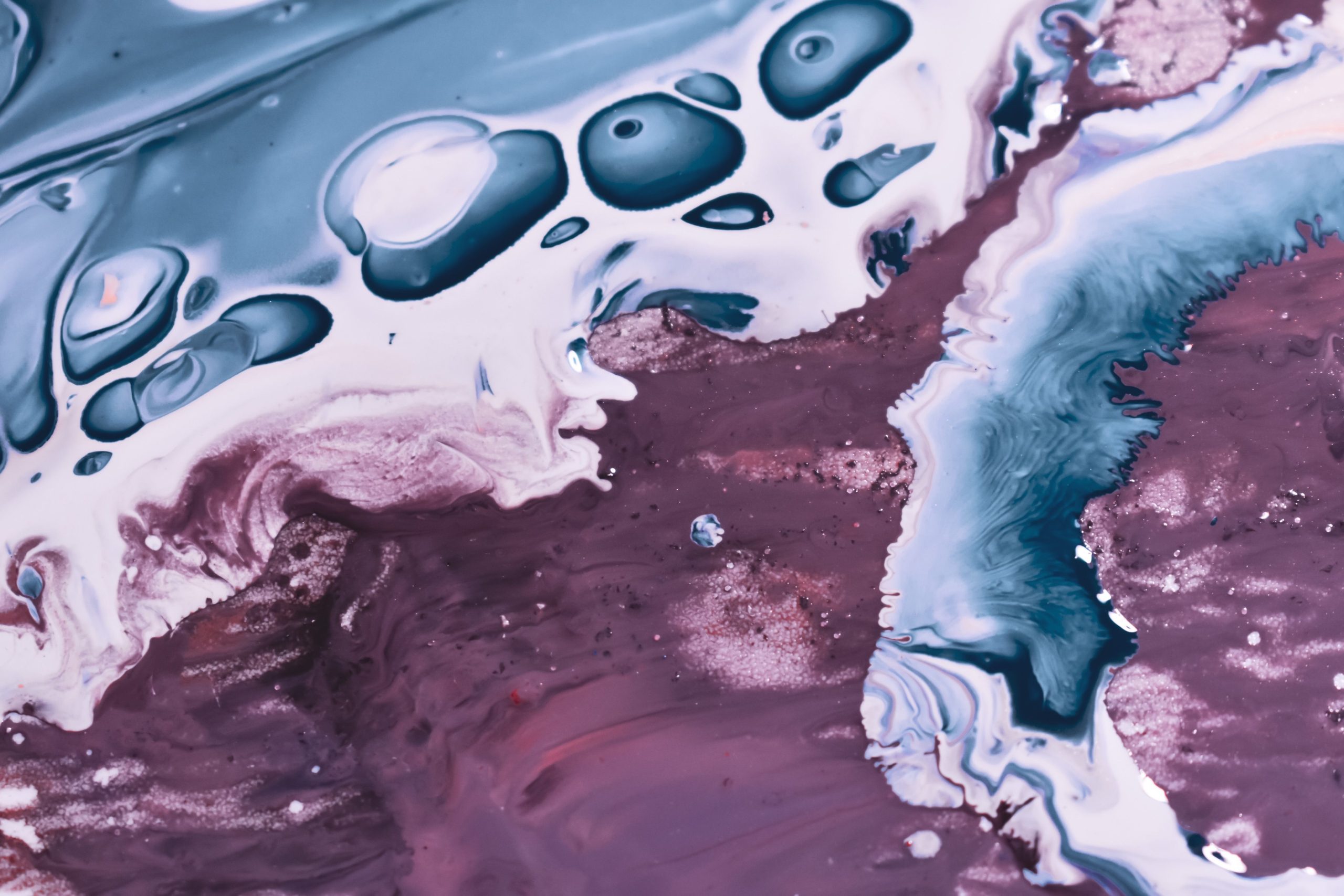 Couleur tendance bleu cobalt ou bordeaux
