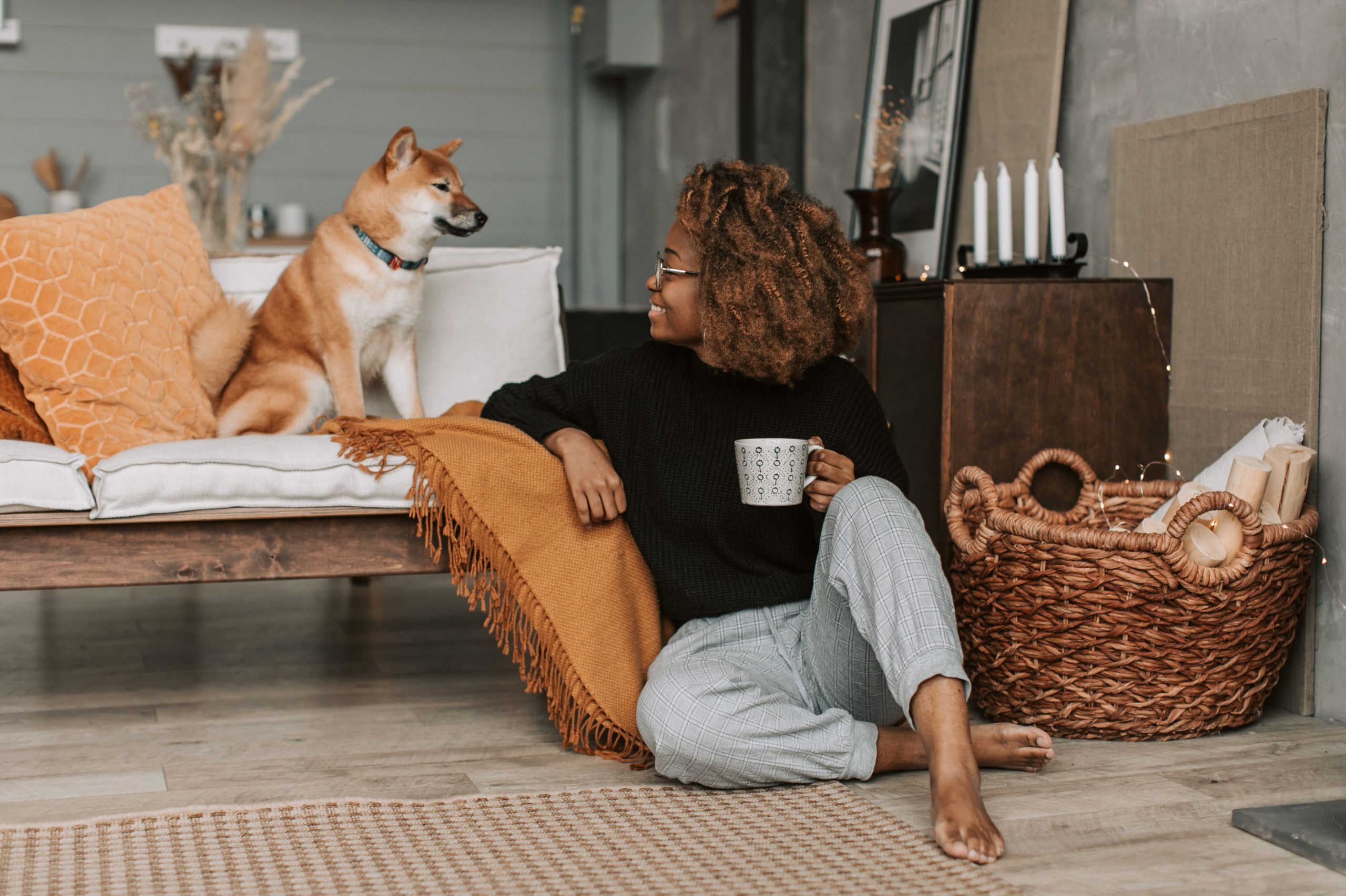 Coussin pour chien ou panier pour chien