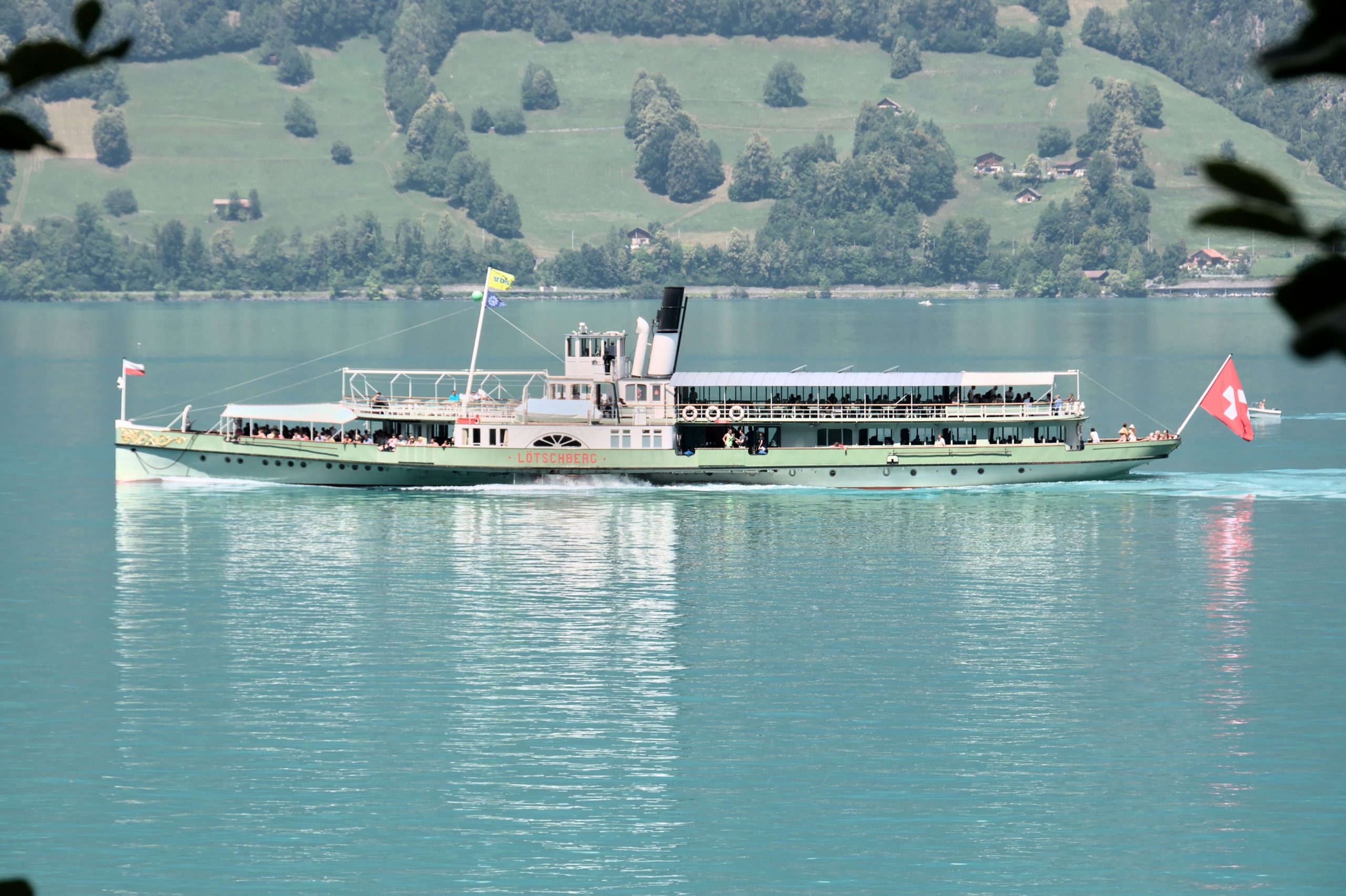 Croisière vs circuit organisé