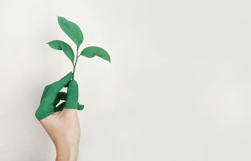 Croissance rapide ou durable