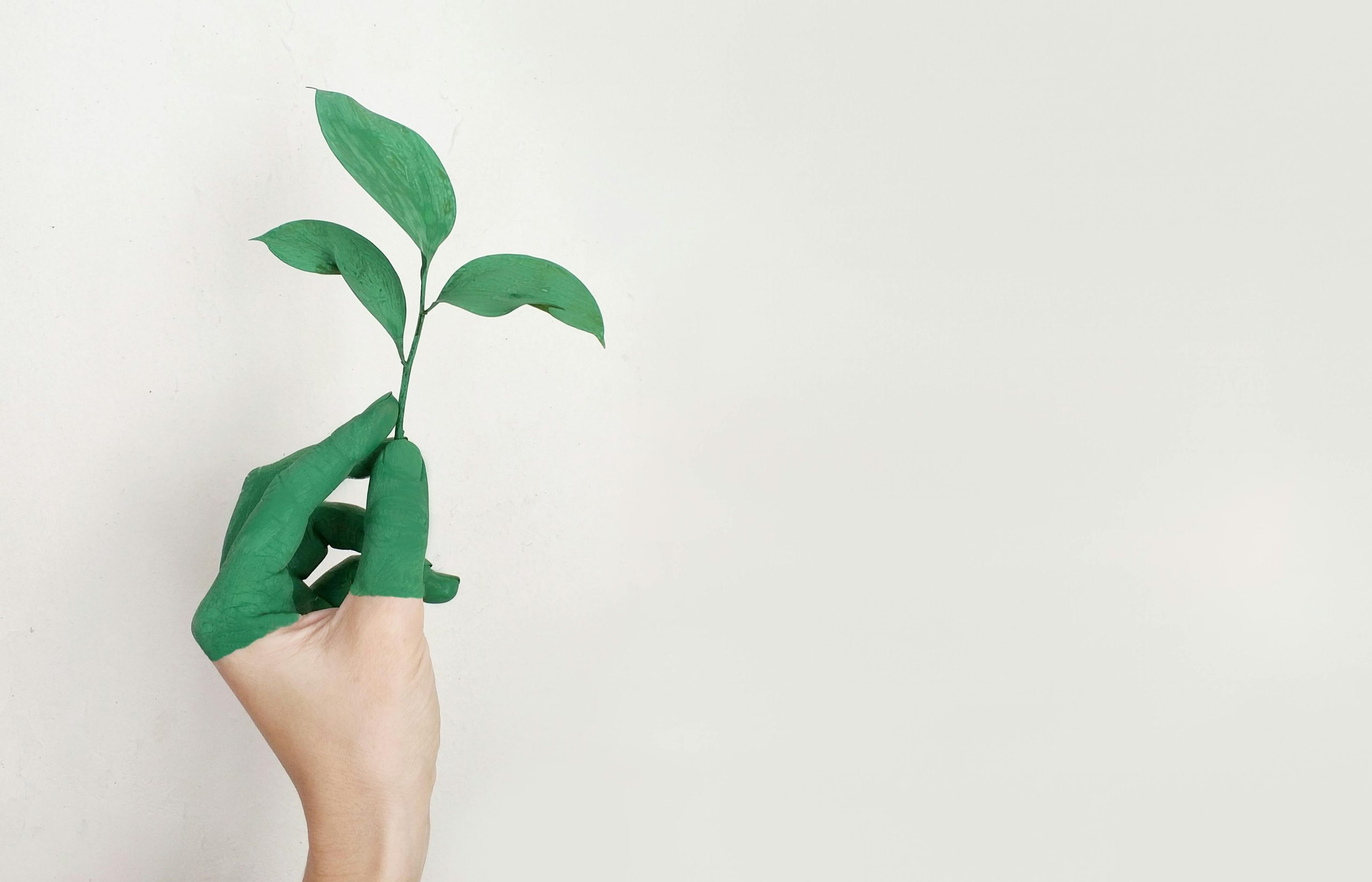 Croissance rapide ou durable