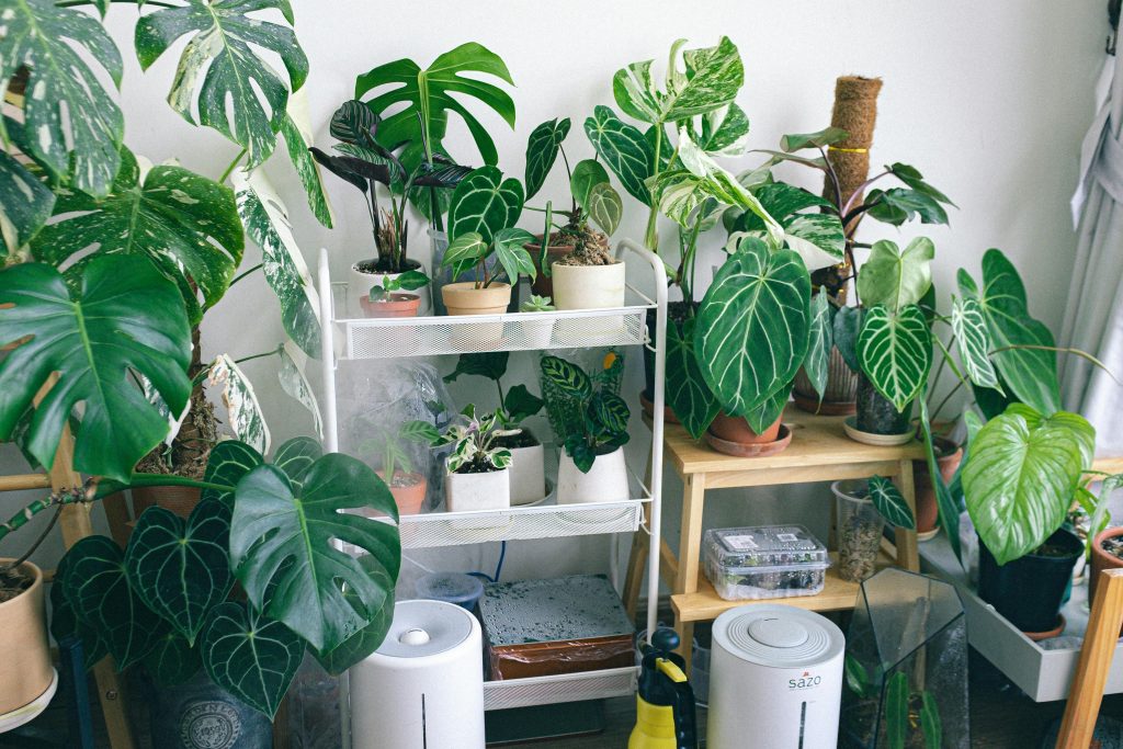 Déshumidificateur ou purificateur d'air