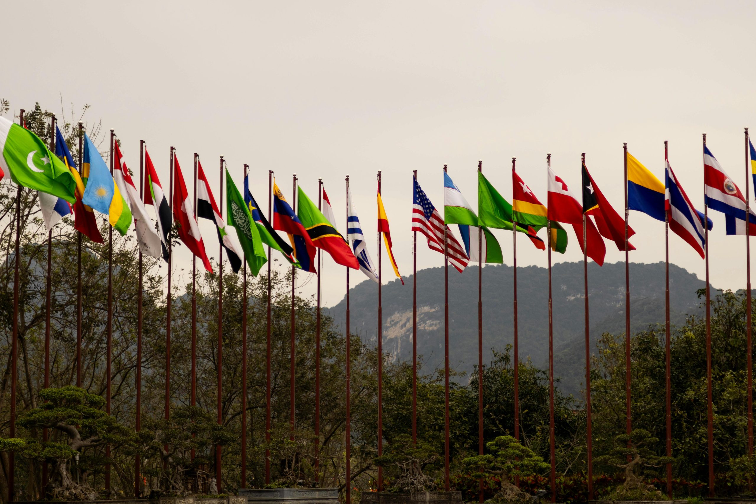 Développement national ou international