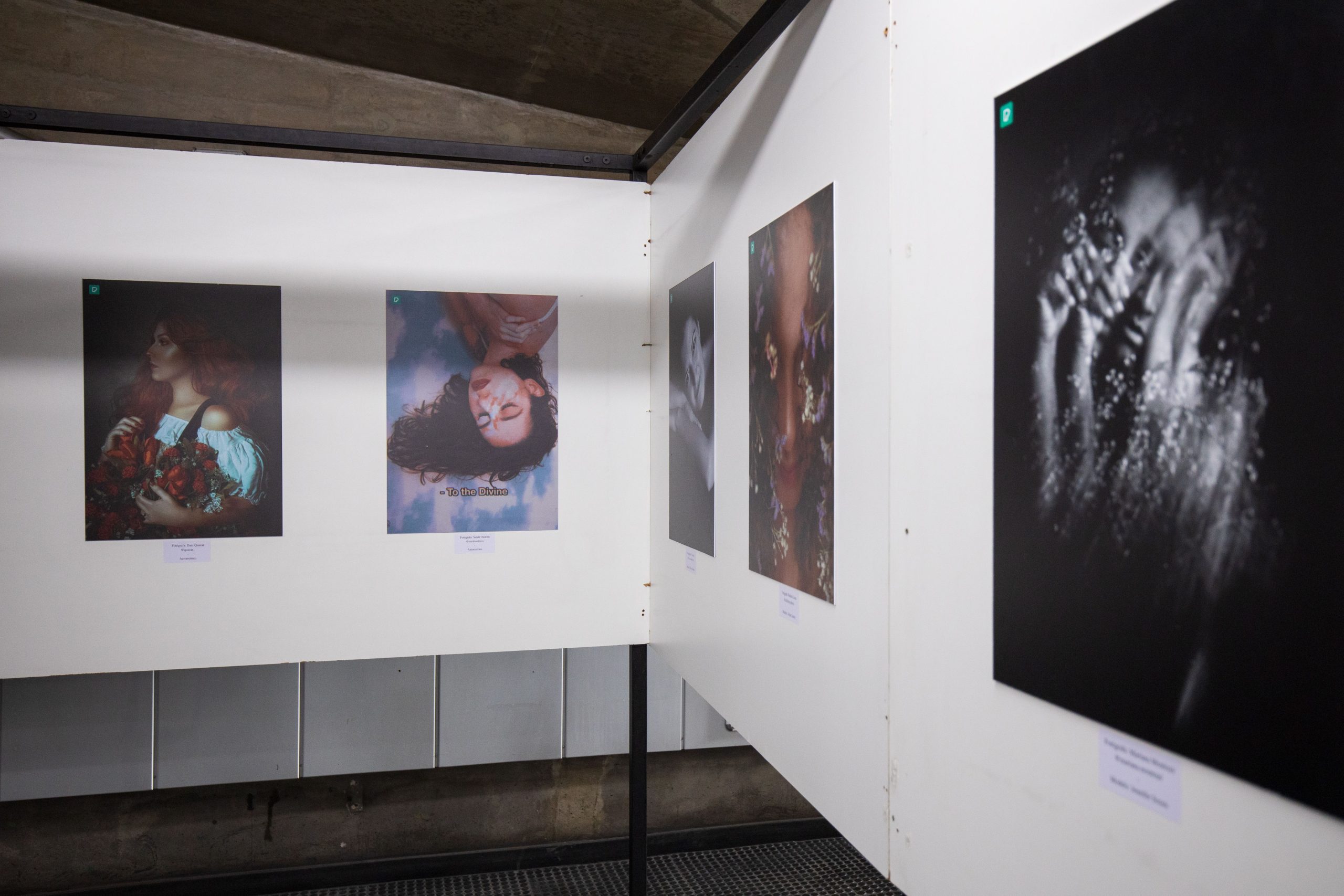 Exposition physique ou galerie en ligne