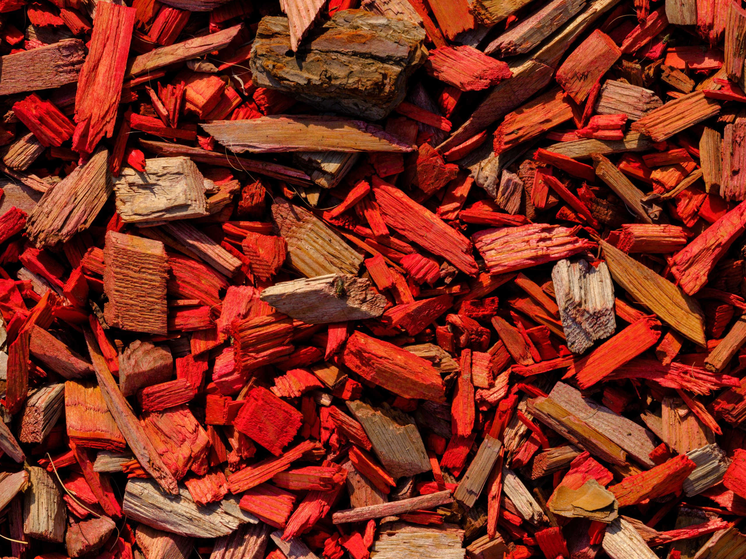 Gravier ou paillage