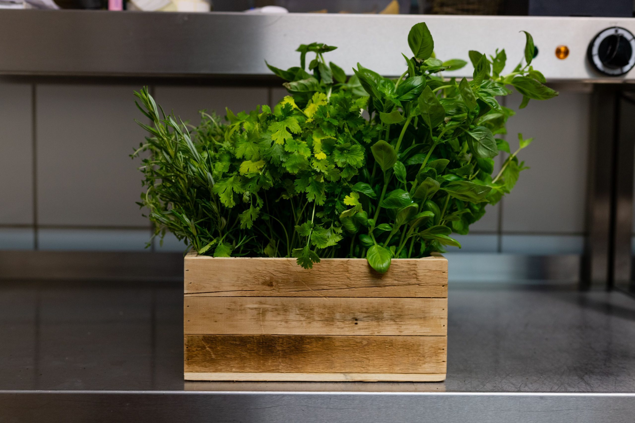 Herbes aromatiques en intérieur ou en balcon
