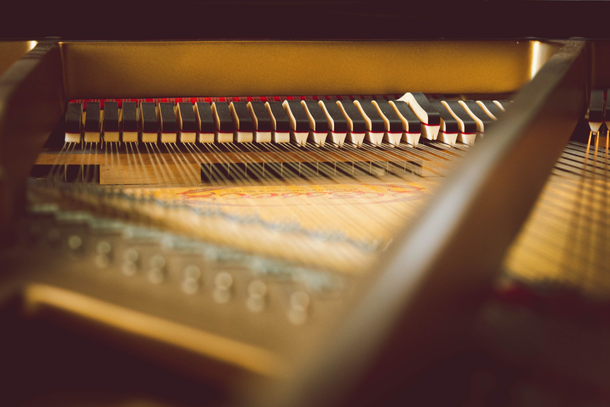 Instrument à cordes ou à clavier