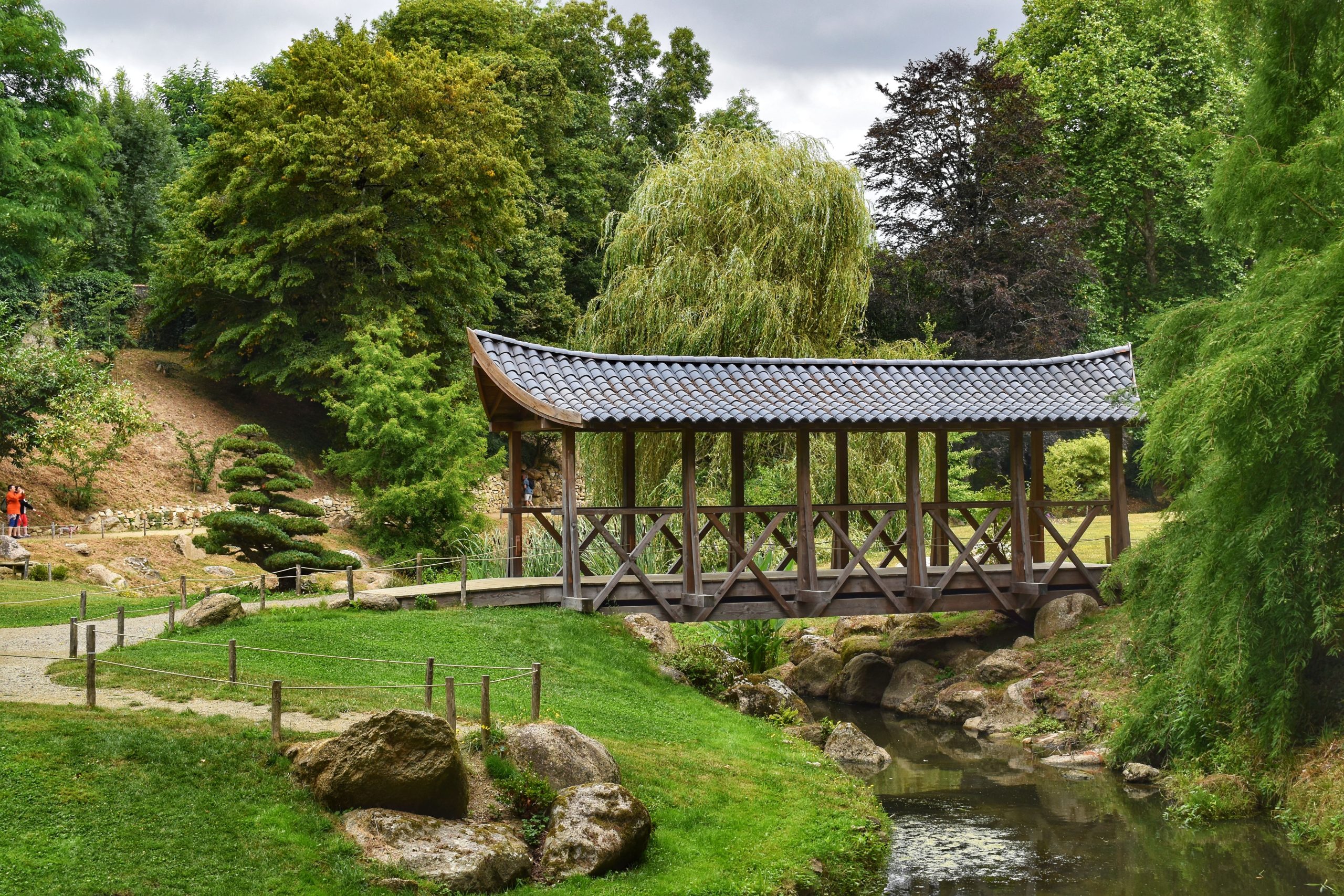 Jardin japonais contre jardin méditerranéen