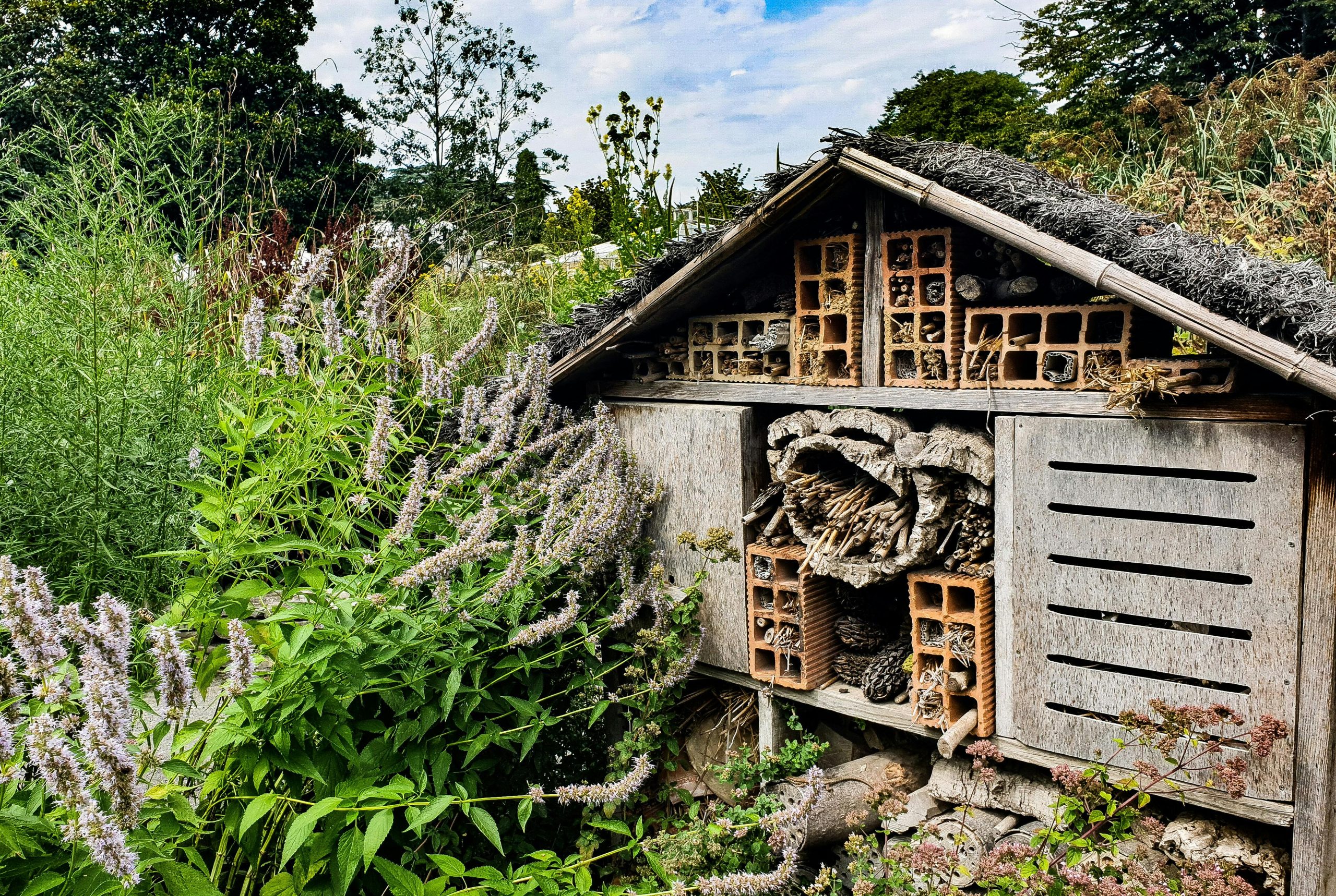 Jardin naturel ou jardin structuré