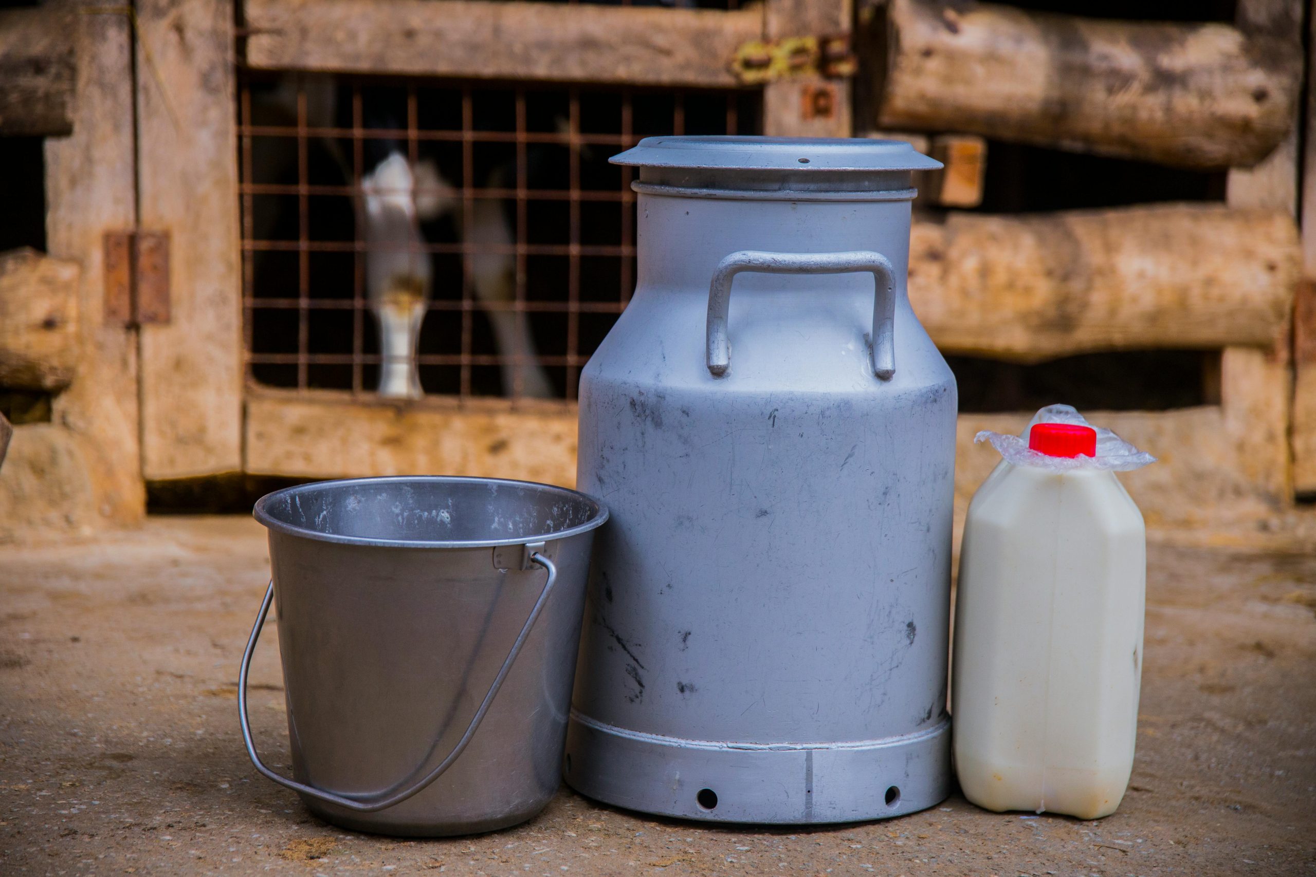 Lait frais contre lait UHT