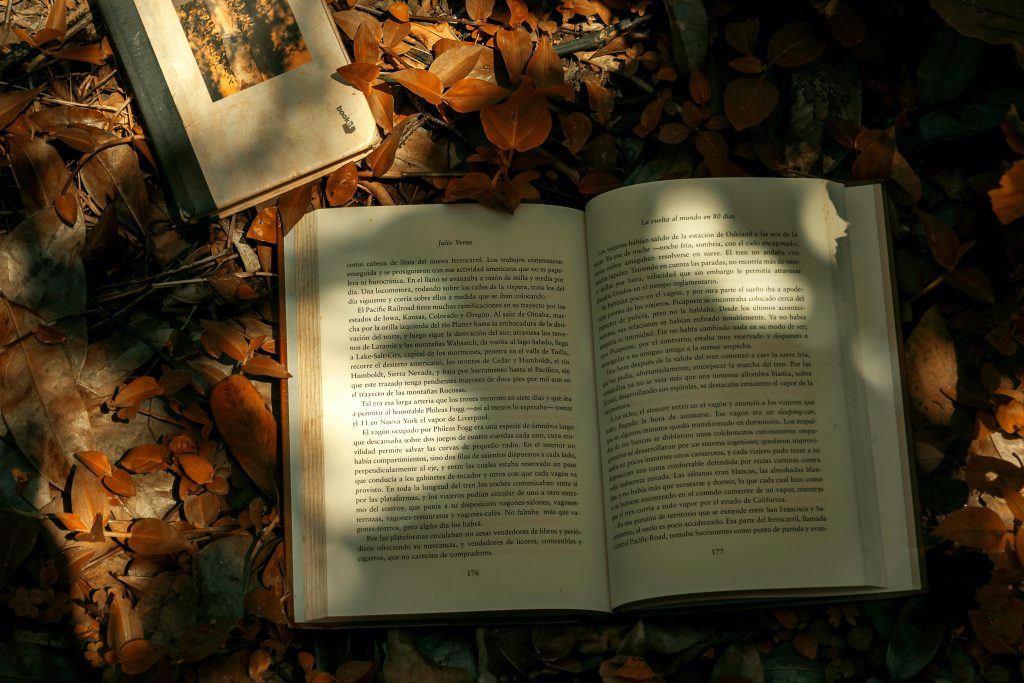Lead magnet et livre blanc