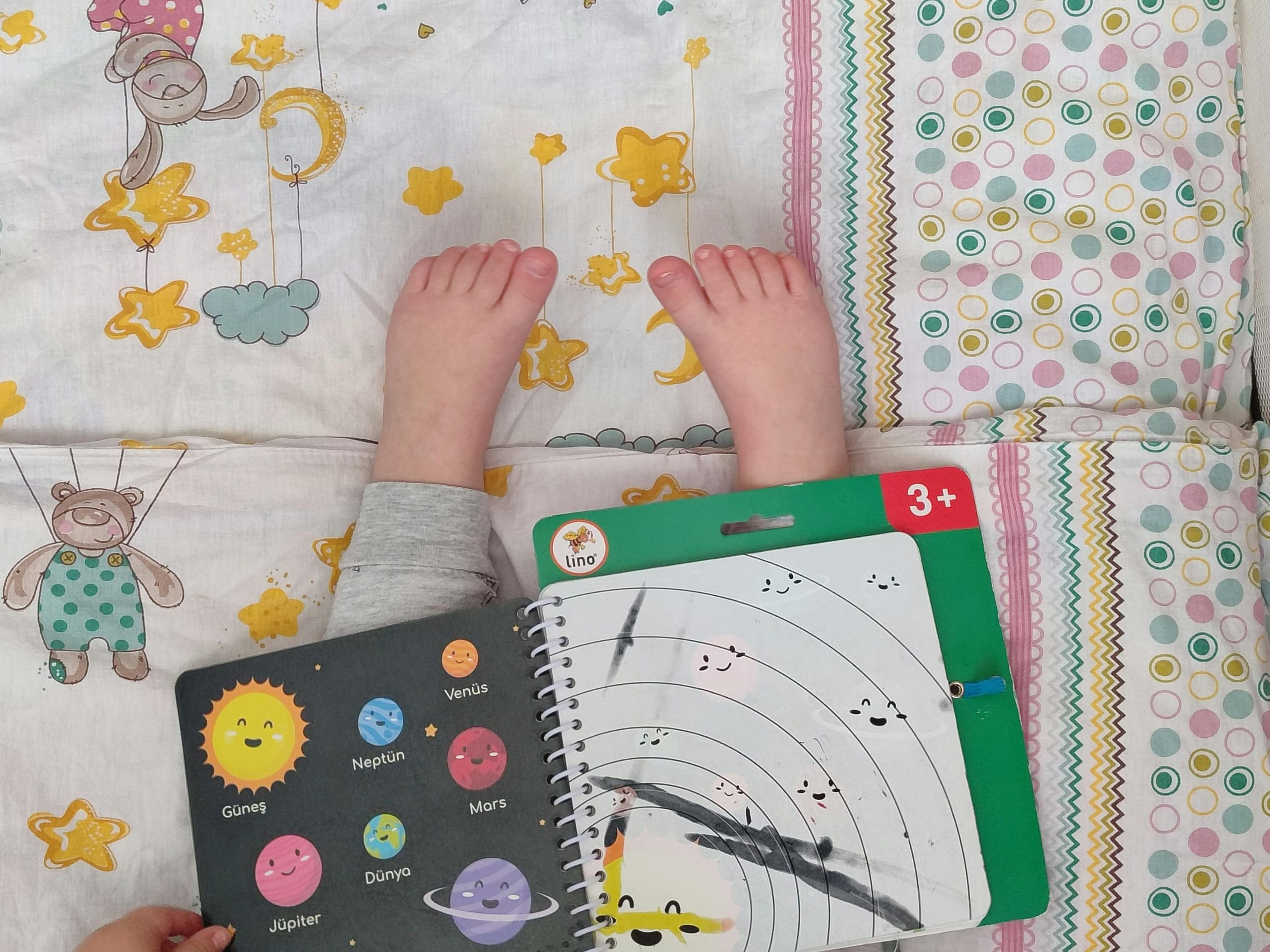Livre tissu ou livre cartonné bébé