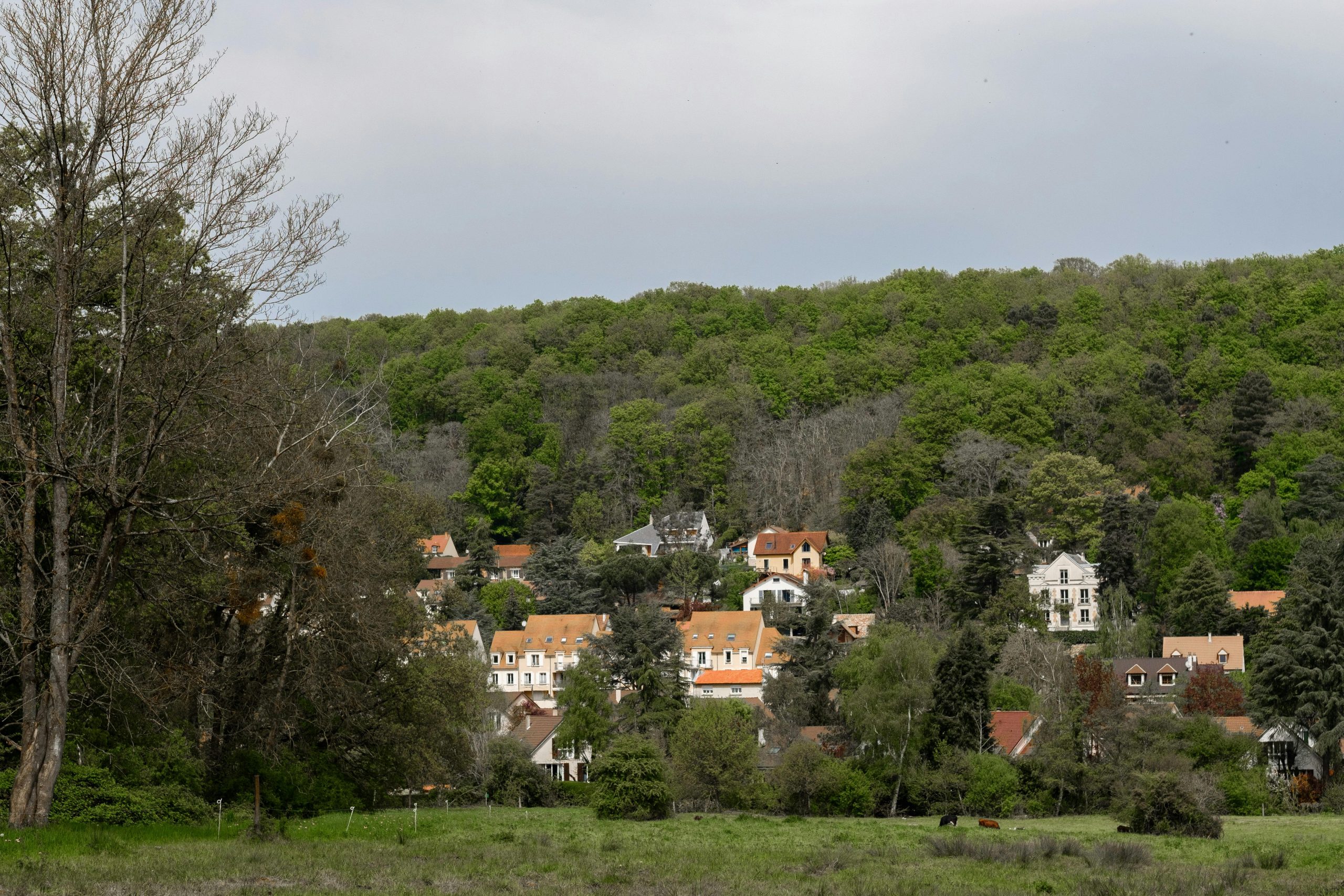 Maison en ville ou à la campagne