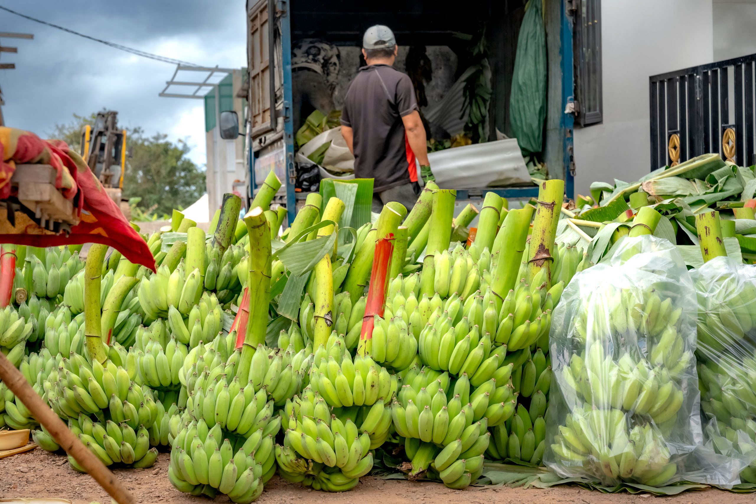 Manger local ou aliments importés