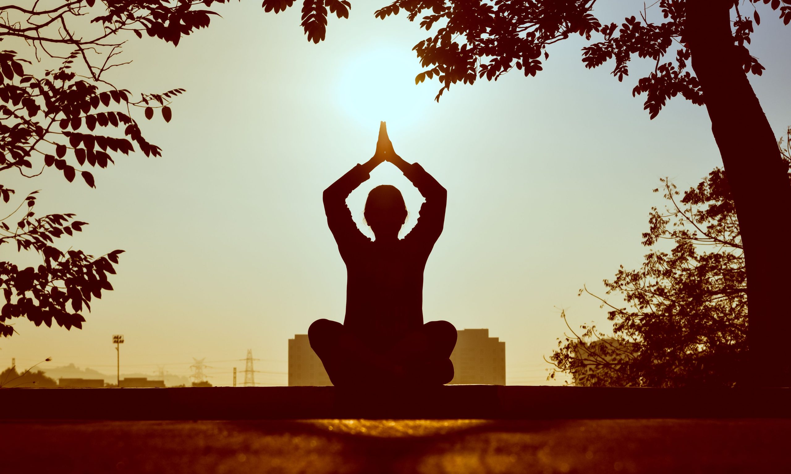 Méditation contre relaxation