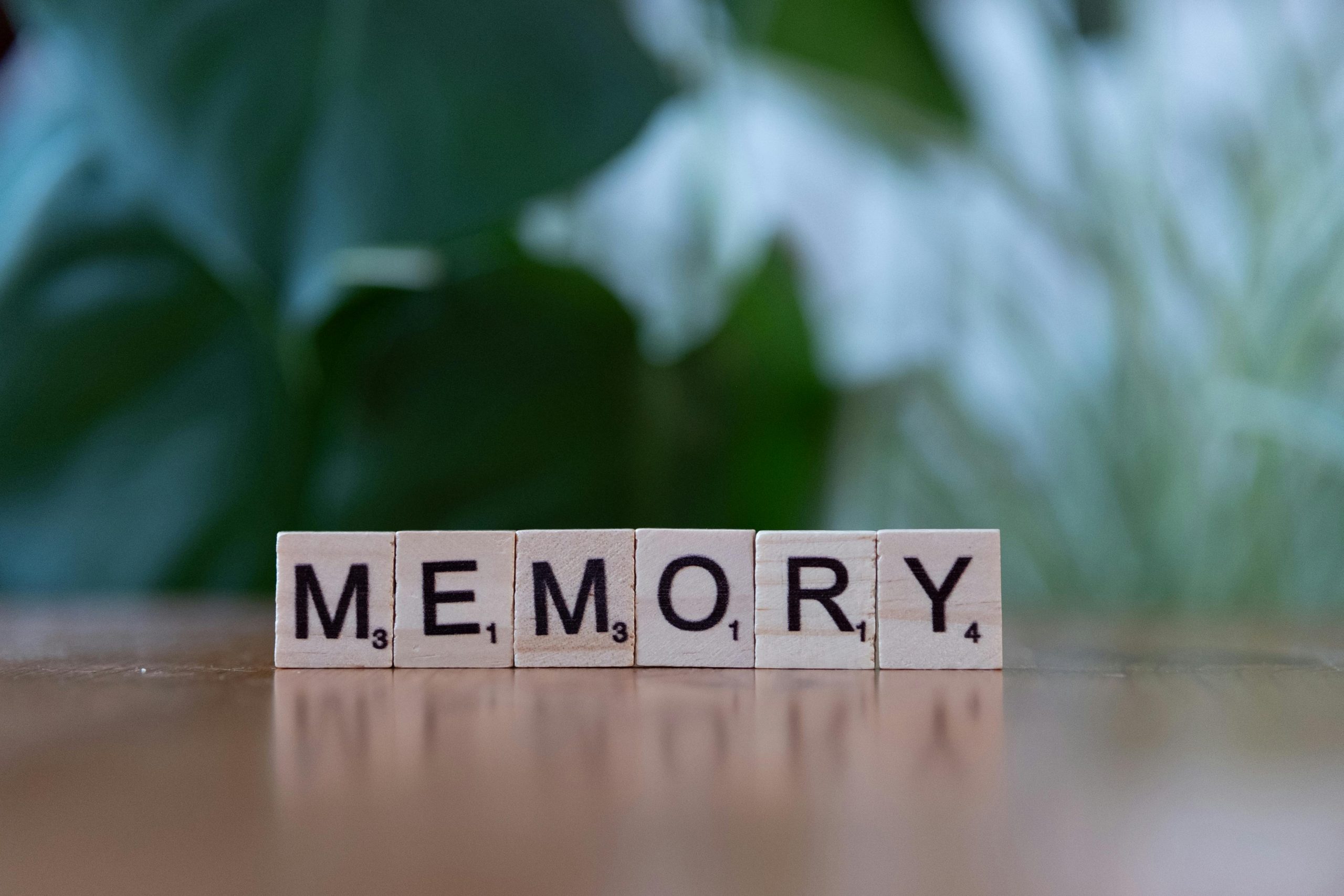 Mémoire procédurale ou déclarative