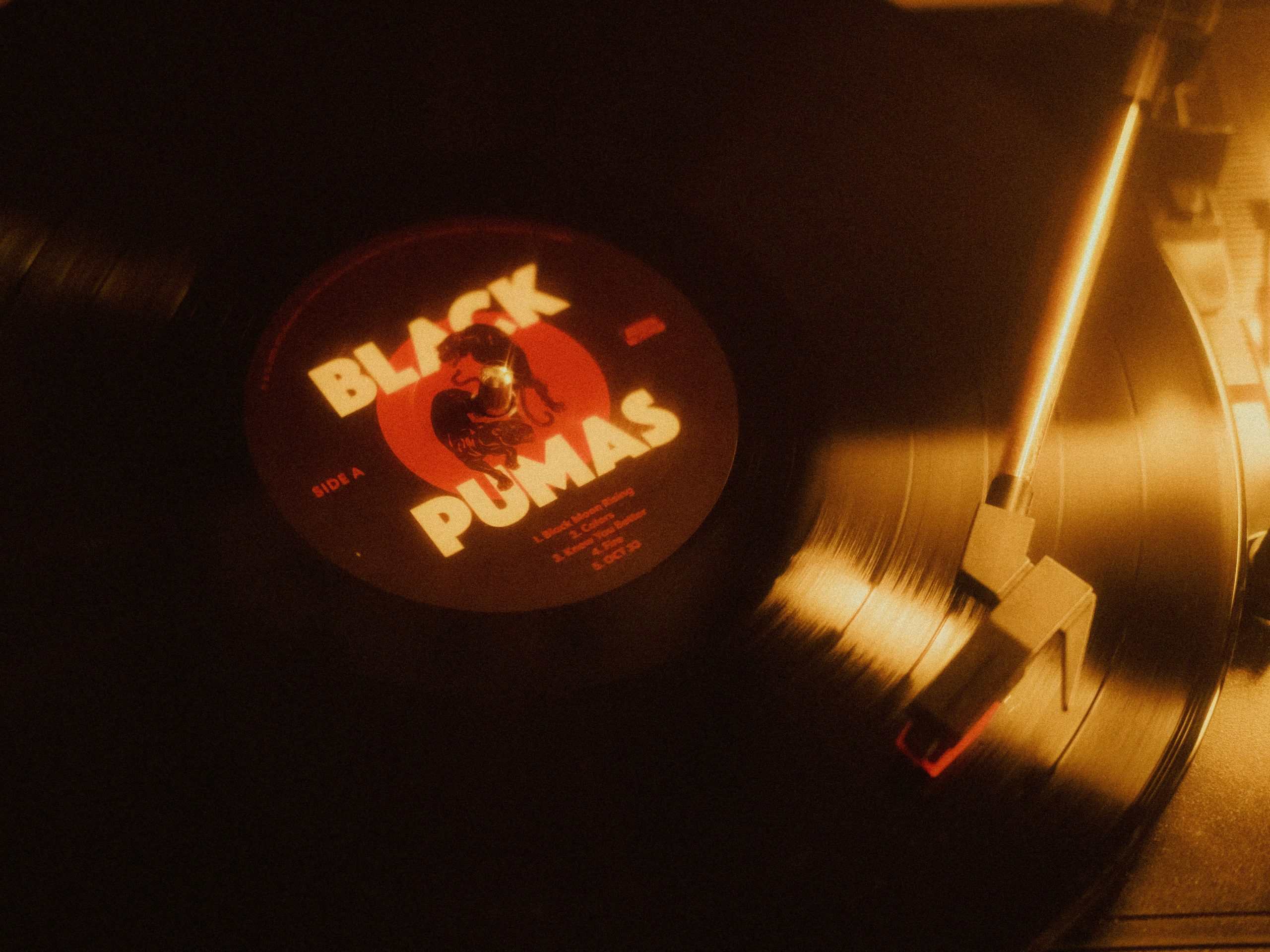 Musique en streaming face Ă vinyle
