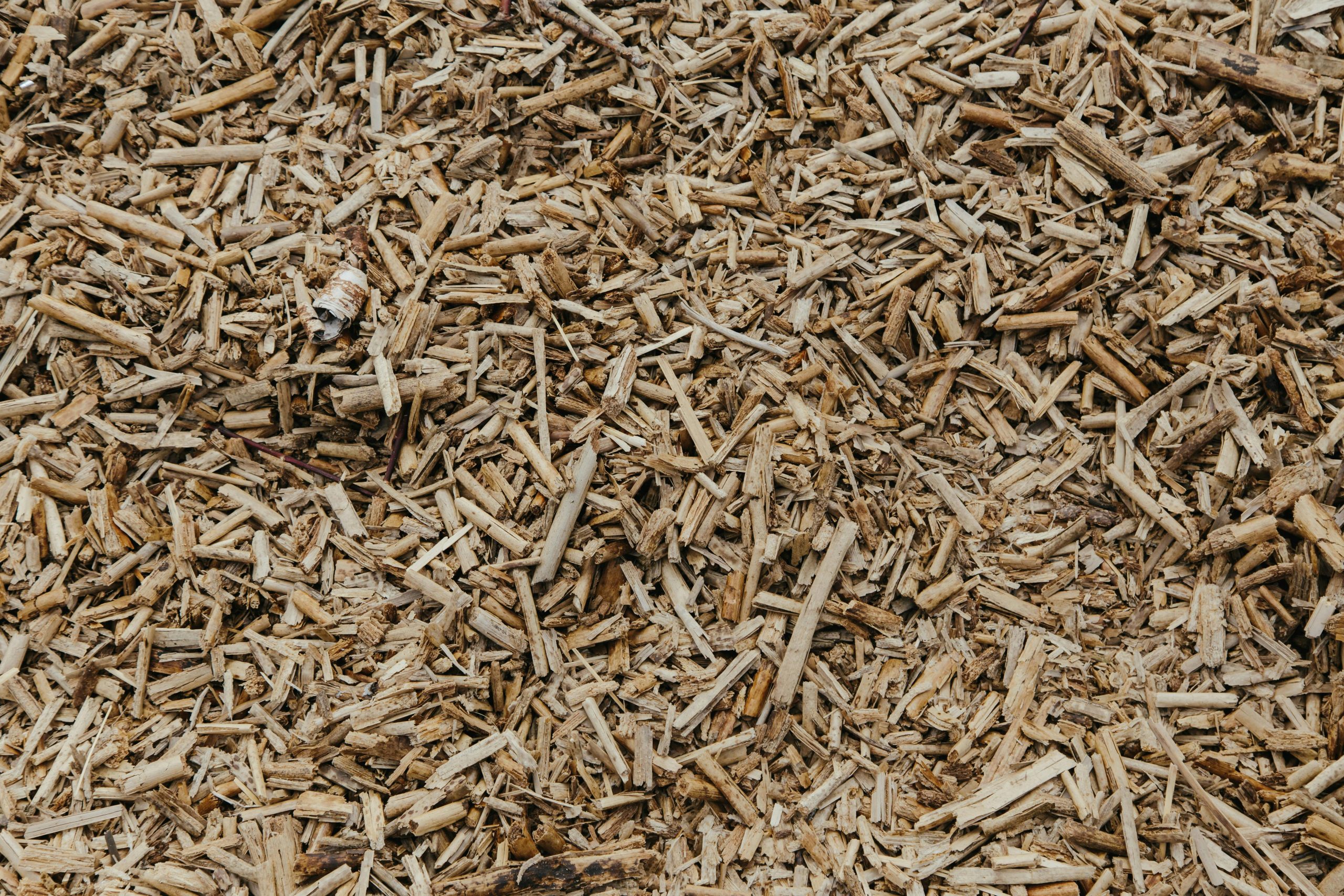 Paillage en BRF ou en copeaux de bois