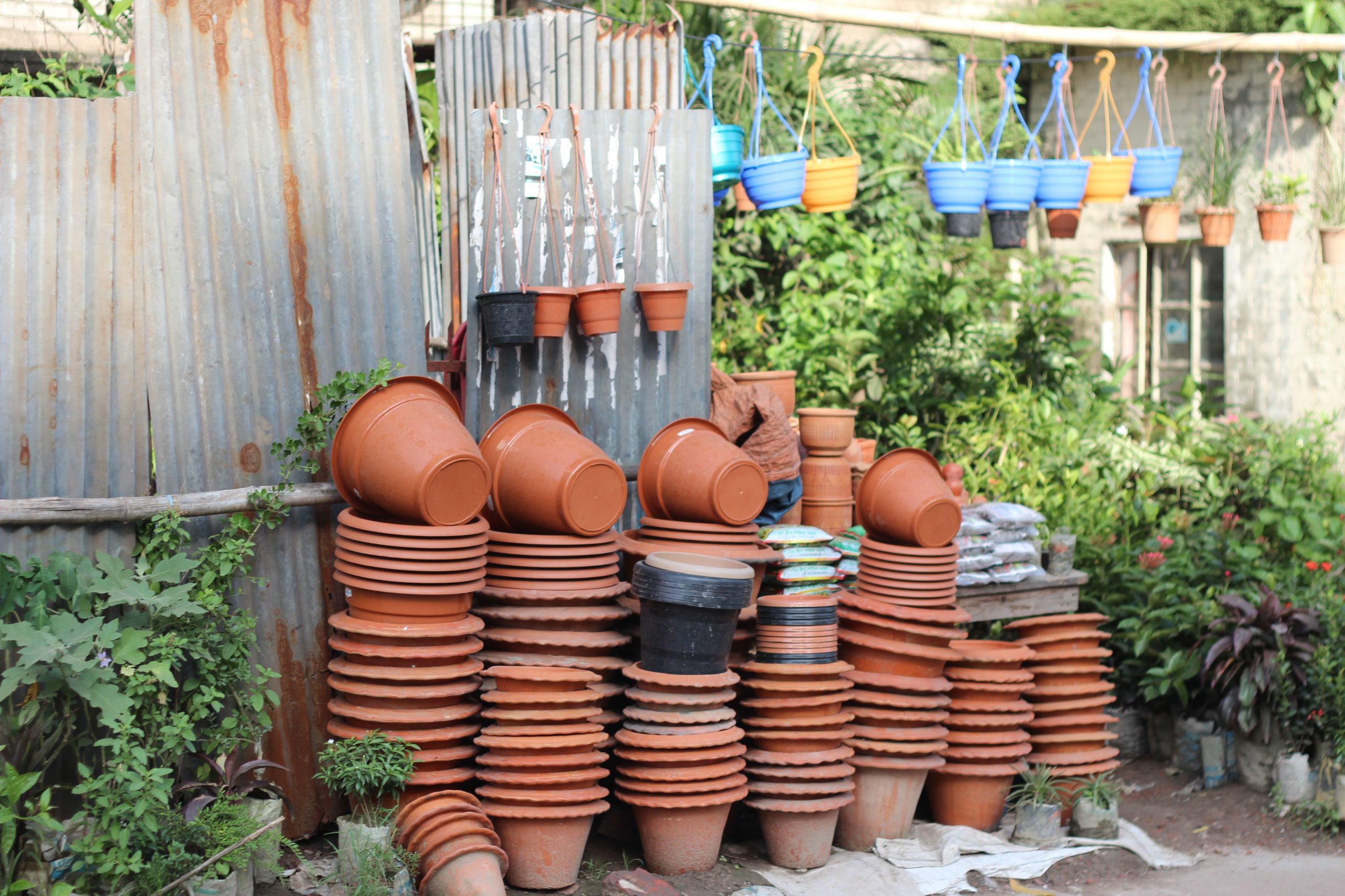 Pot en plastique ou terre cuite