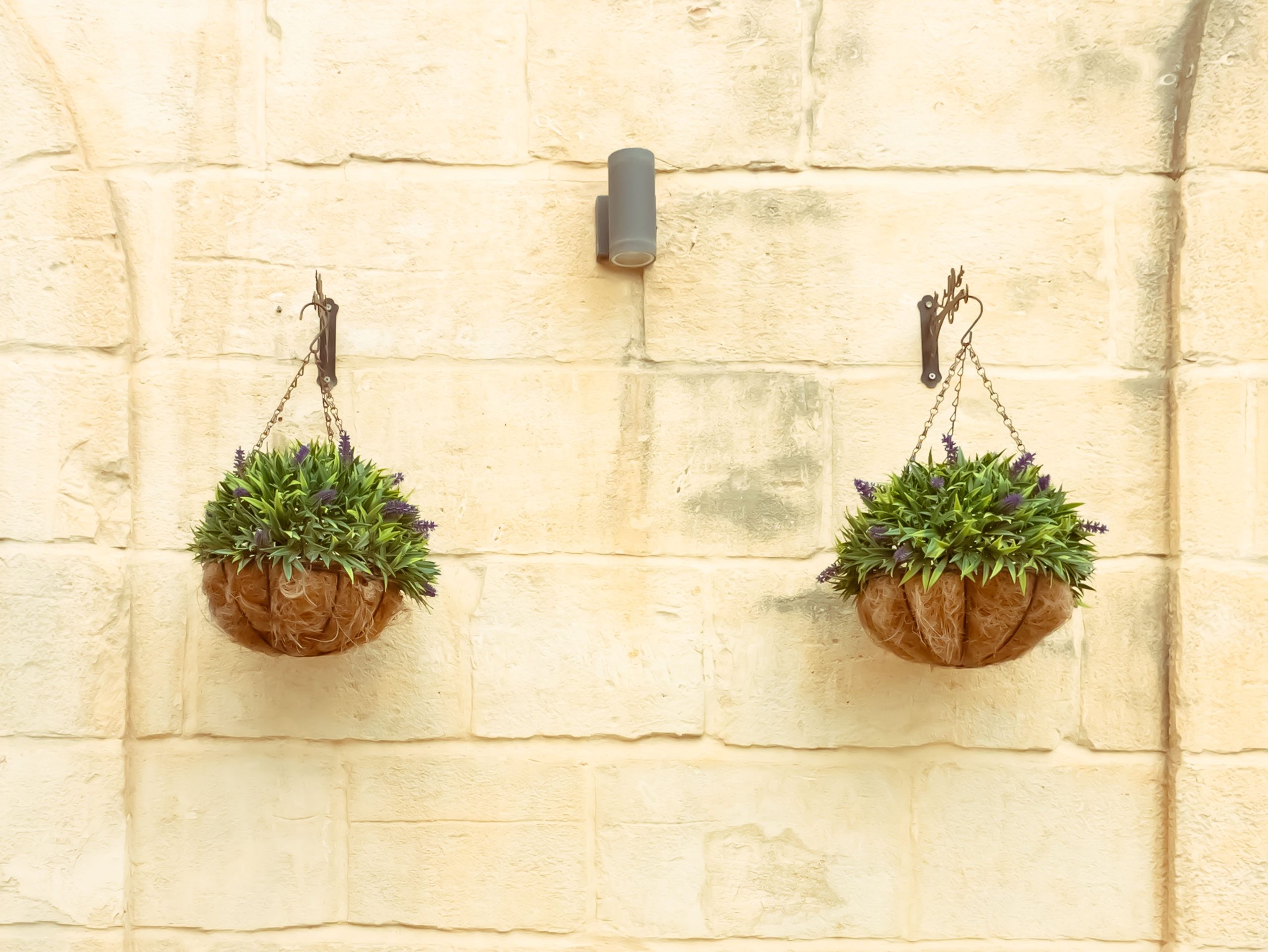Pot suspendu ou jardinière classique