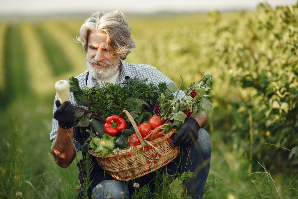 Potager bio ou traditionnel