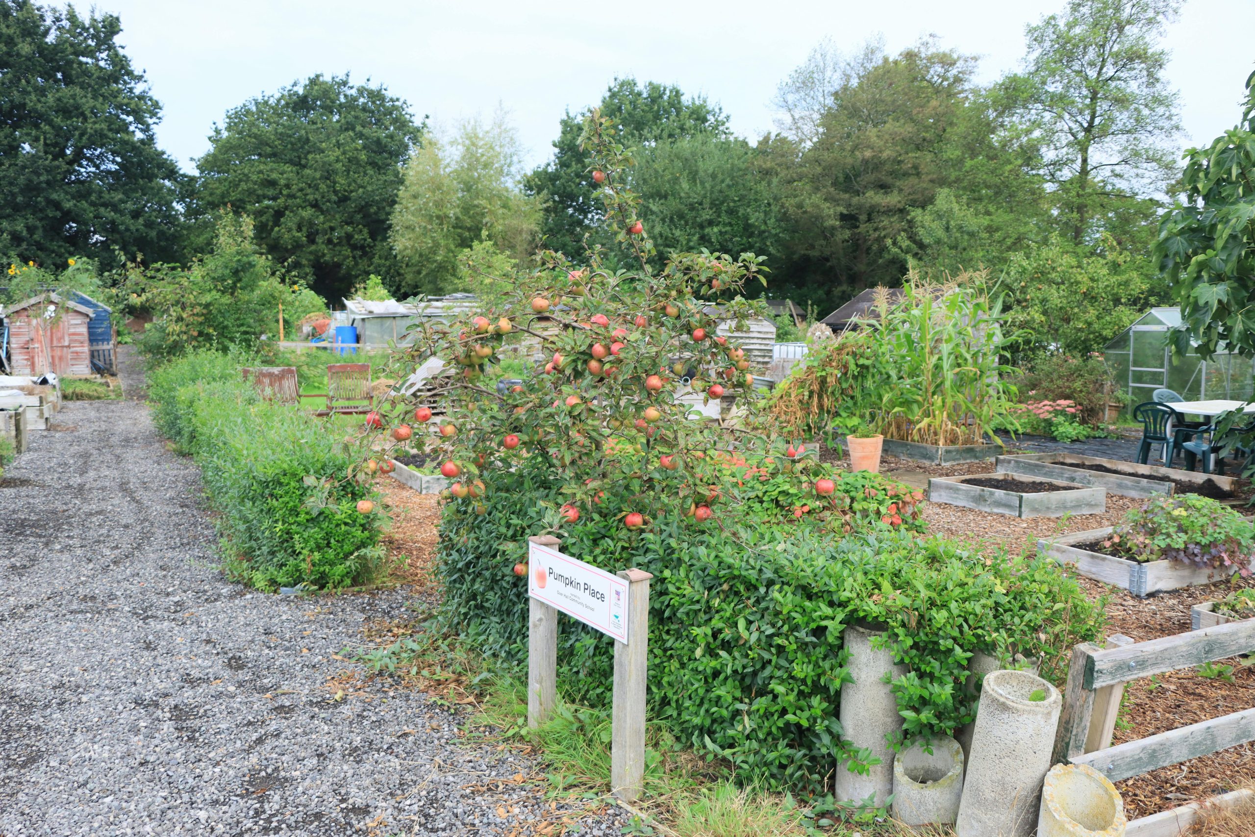 Potager ou verger