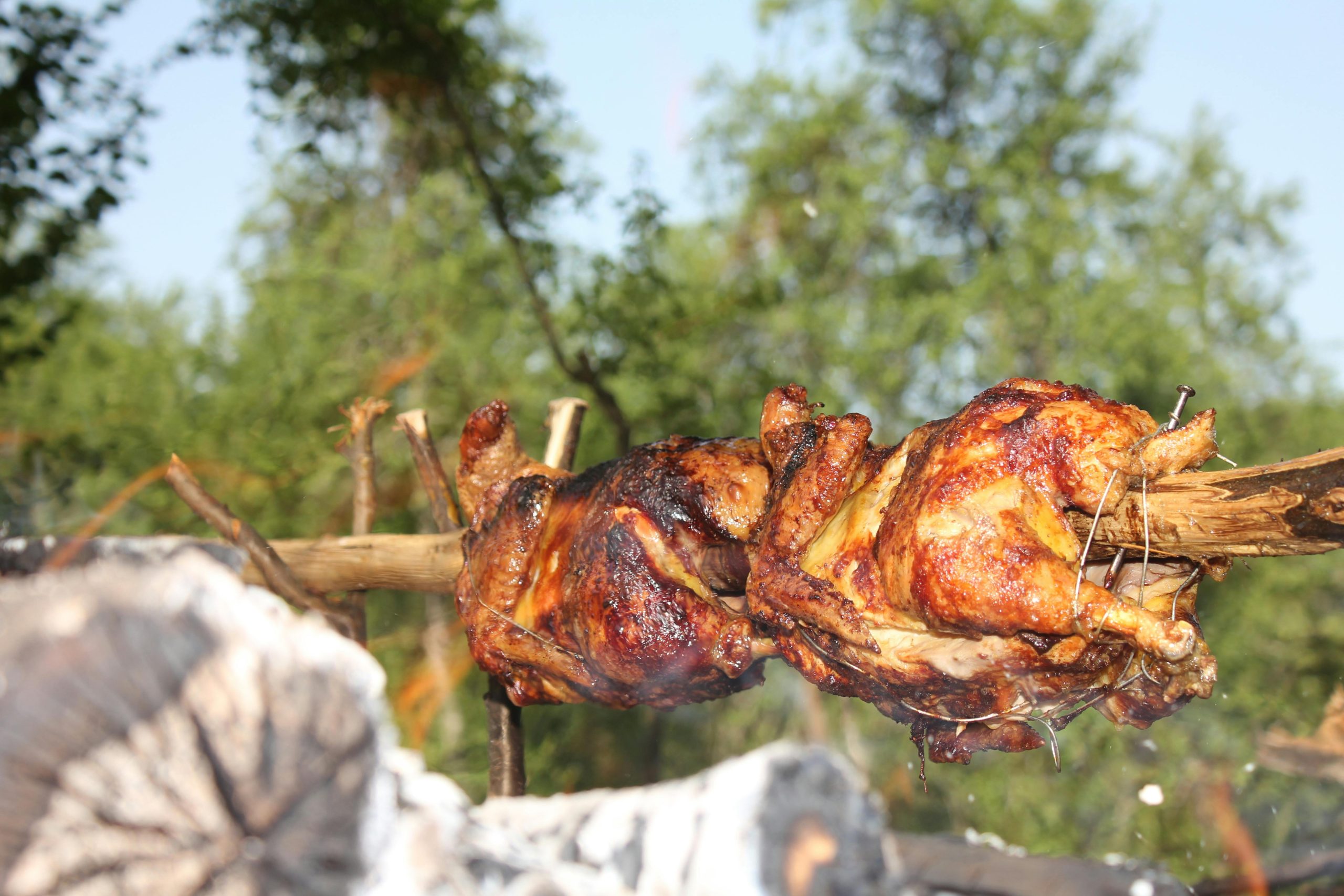 Poulet rôti ou poulet grillé