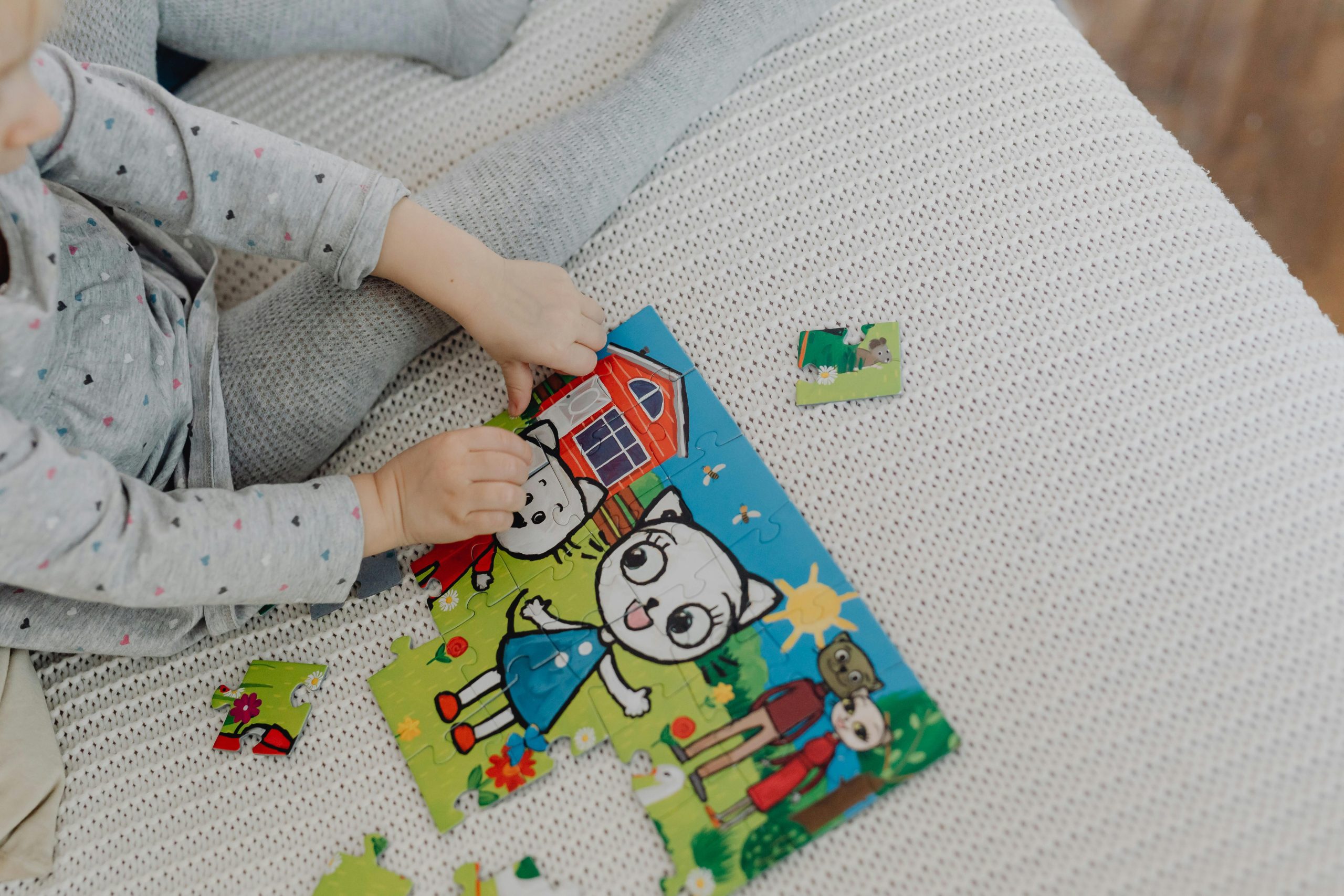 Puzzle en bois ou puzzle en carton