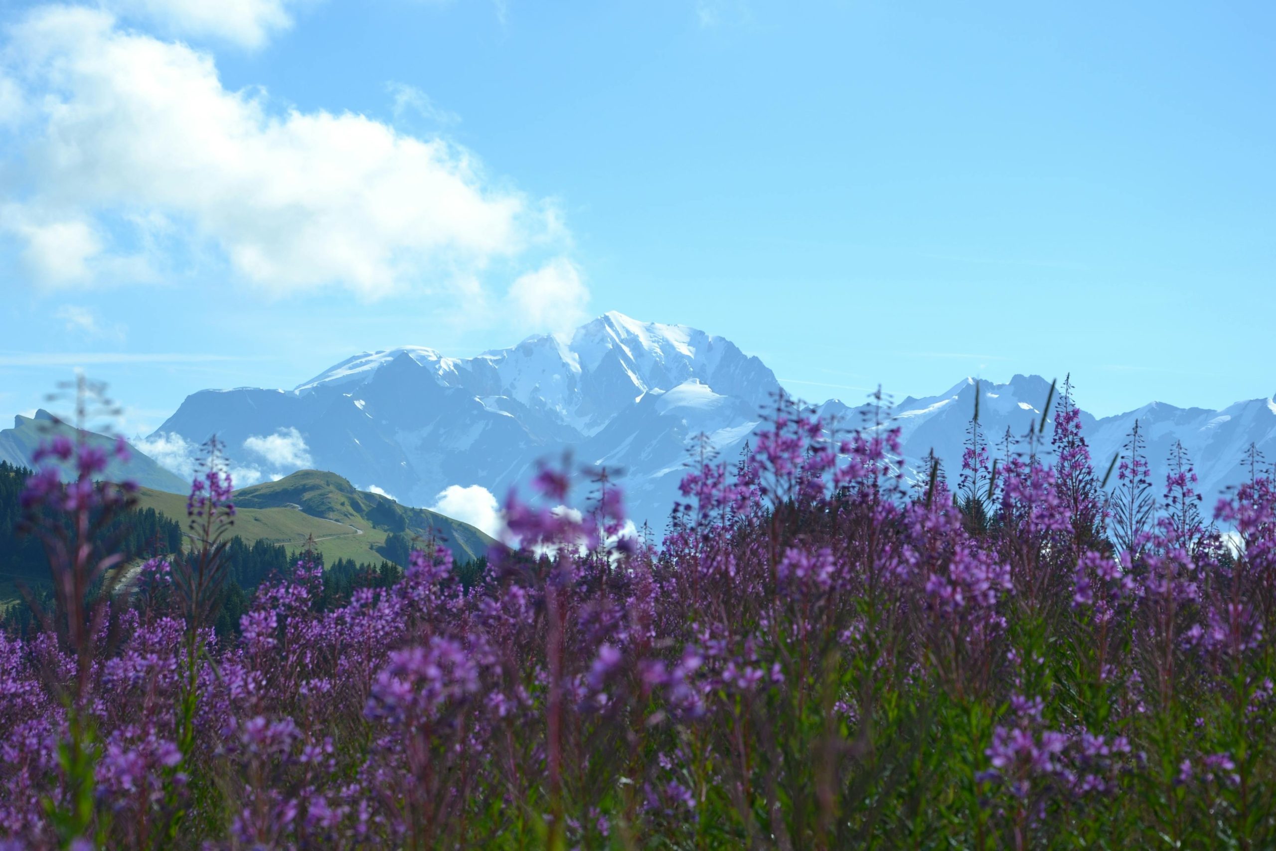 Randonnée alpine ou randonnée en plaine