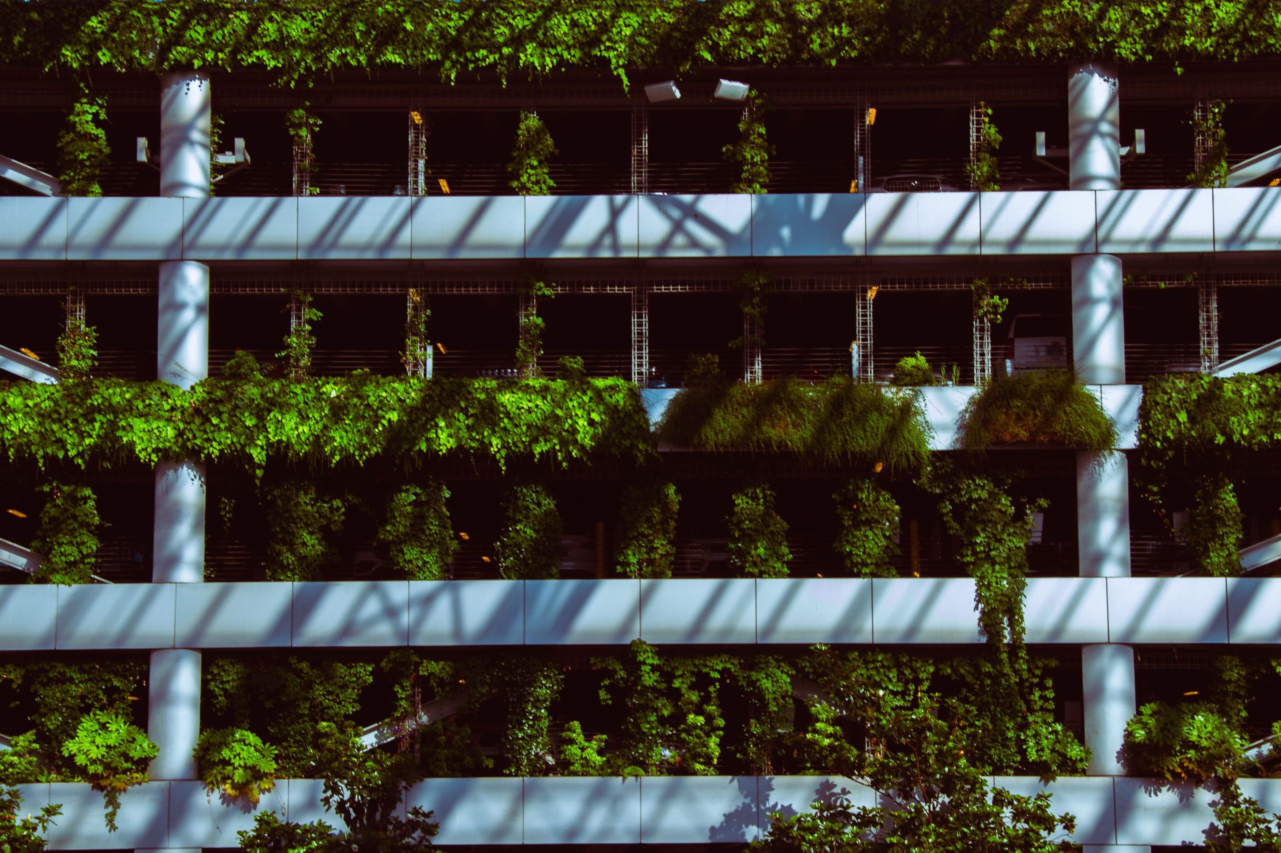 Tonnelle ou carport végétalisé