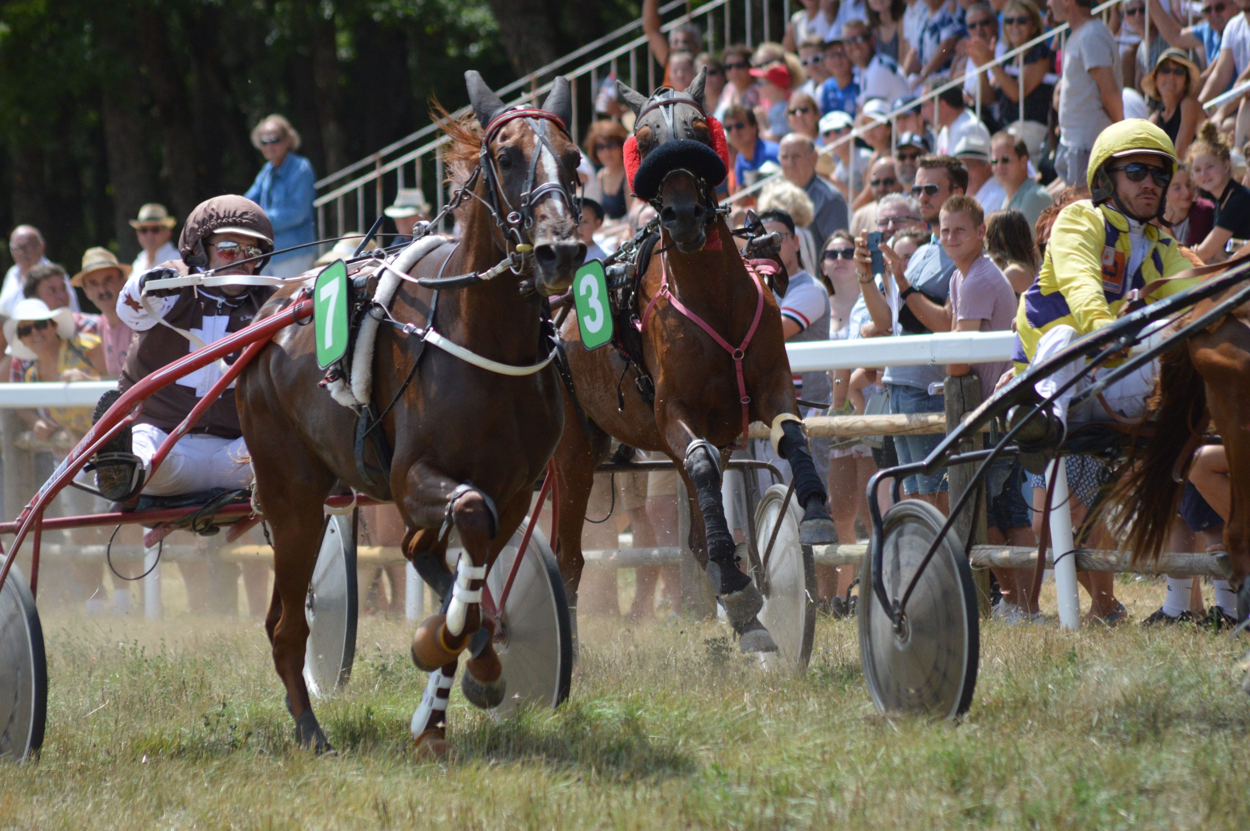 Trotteur ou chariot de marche