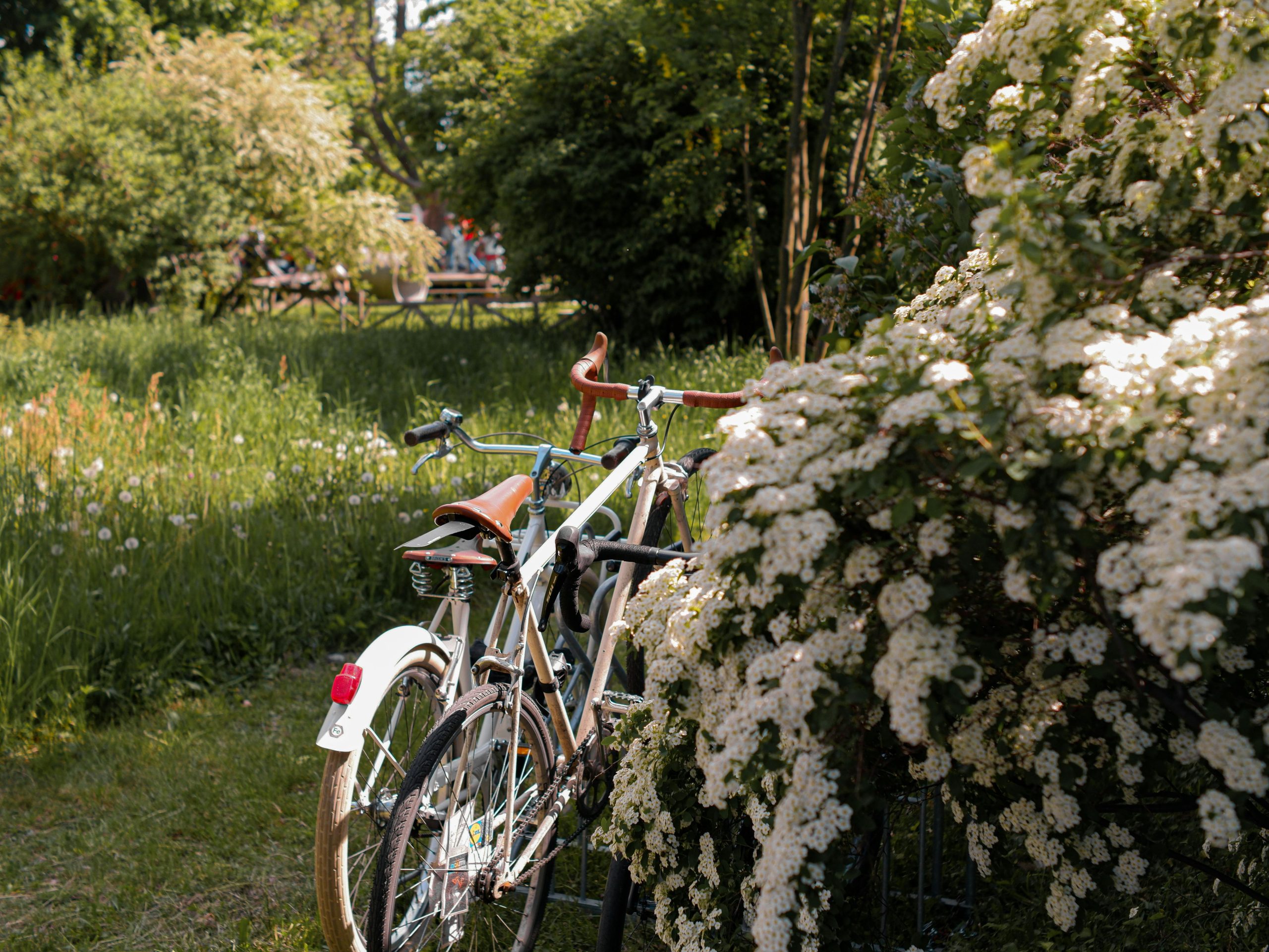 Vélo en salle ou vélo en plein air